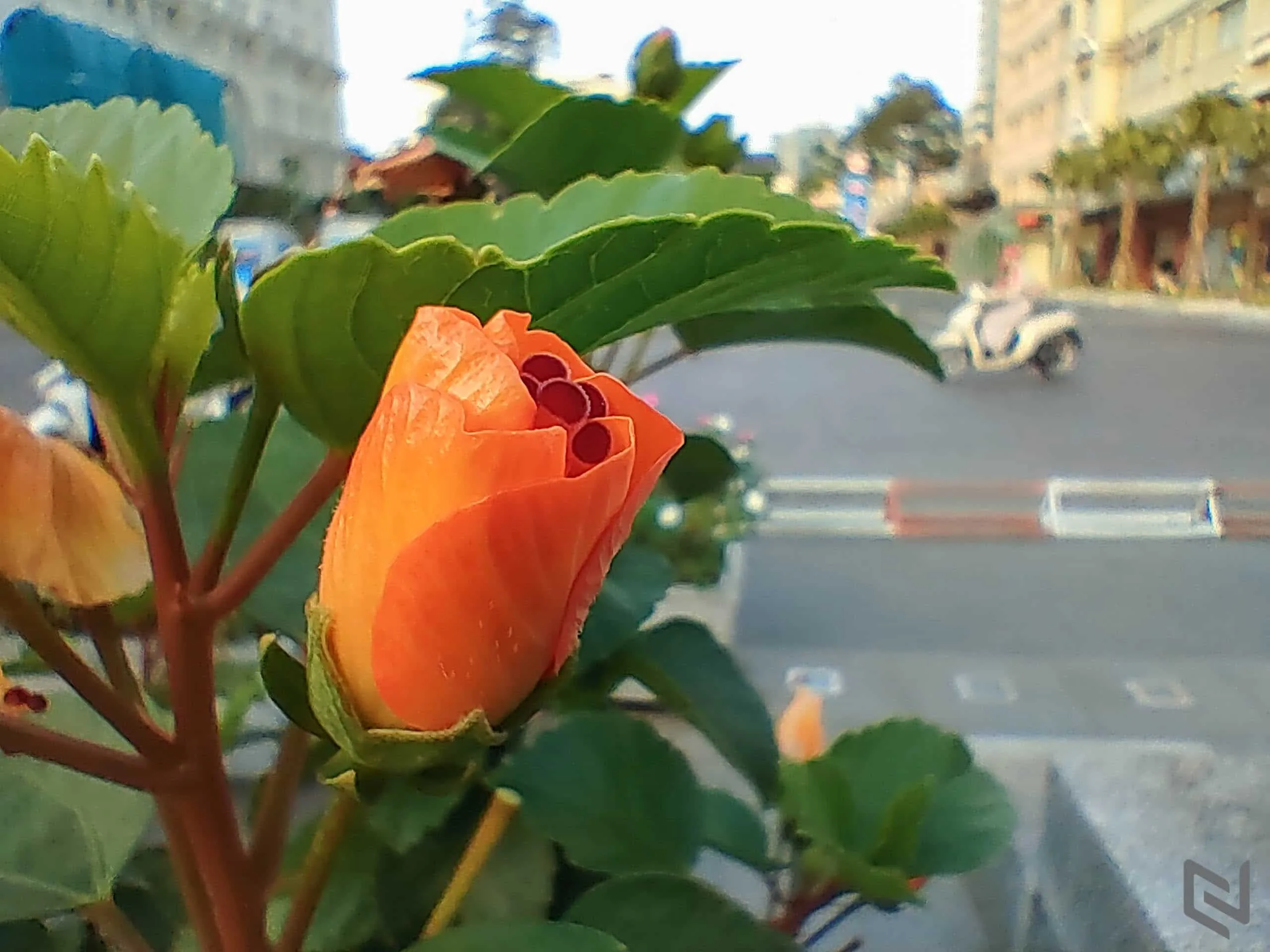 Trải nghiệm bộ tứ camera Nokia 8.3 5G: Lợi thế ống kính Zeiss và thuật toán độc quyền tạo sự khác biệt