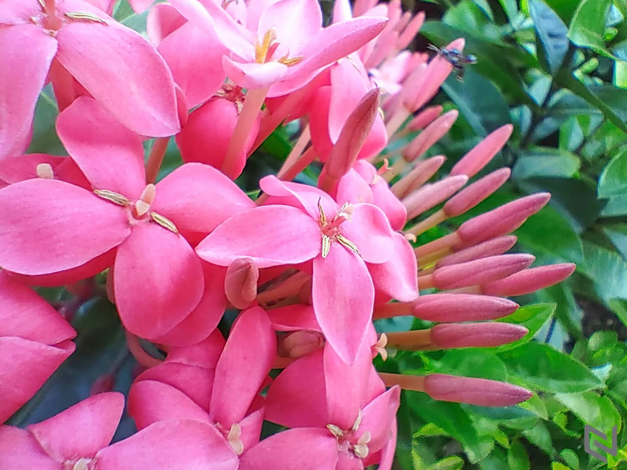 Trải nghiệm bộ tứ camera Nokia 8.3 5G: Lợi thế ống kính Zeiss và thuật toán độc quyền tạo sự khác biệt
