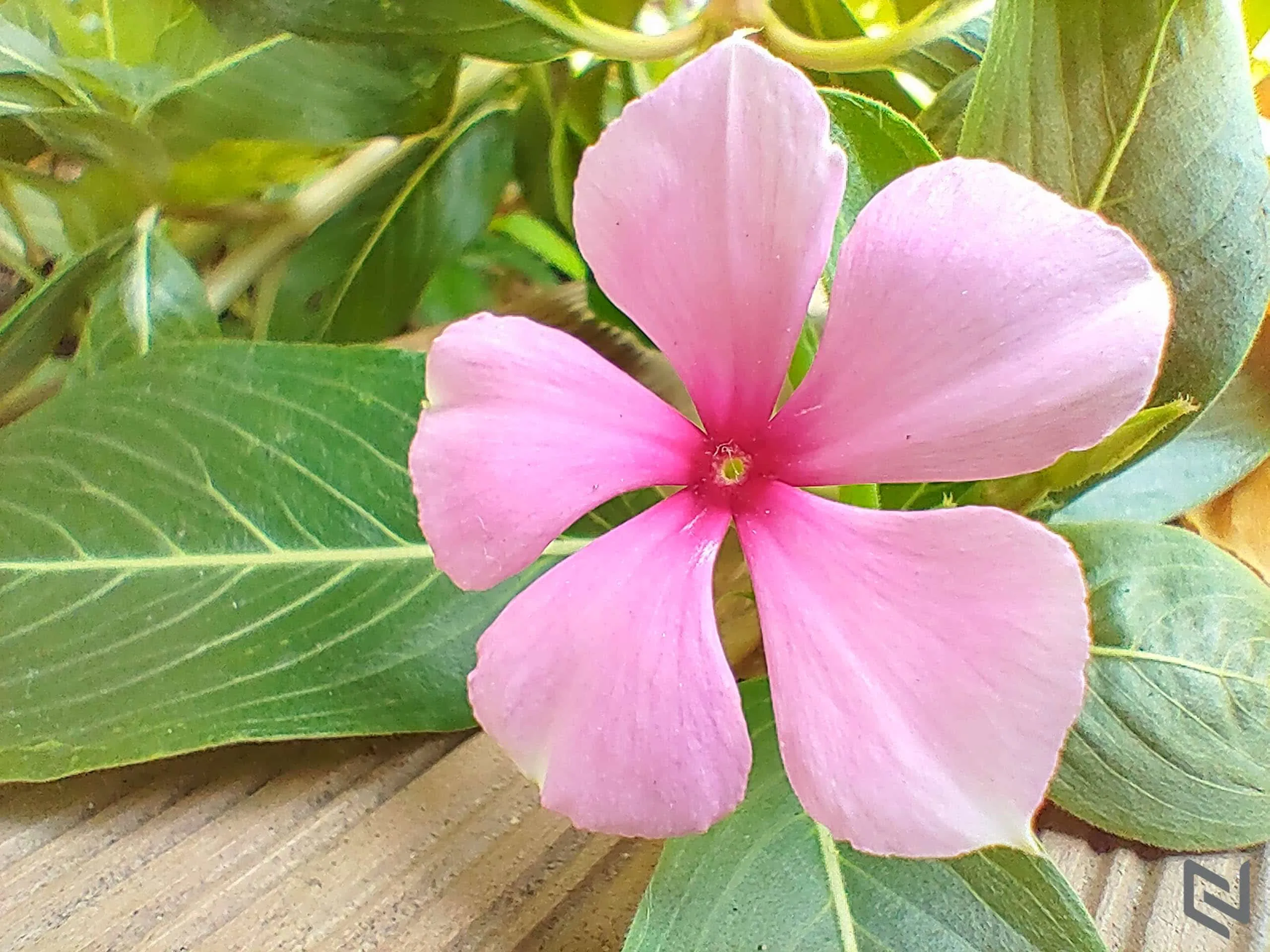 Trải nghiệm bộ tứ camera Nokia 8.3 5G: Lợi thế ống kính Zeiss và thuật toán độc quyền tạo sự khác biệt