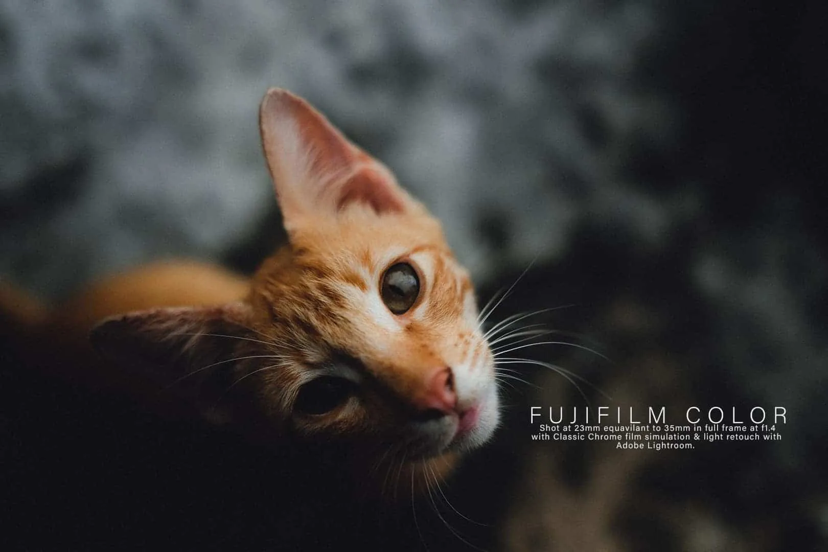 Nhìn những bức ảnh màu giả lập film này, bạn sẽ muốn mua ngay máy ảnh Fujifilm