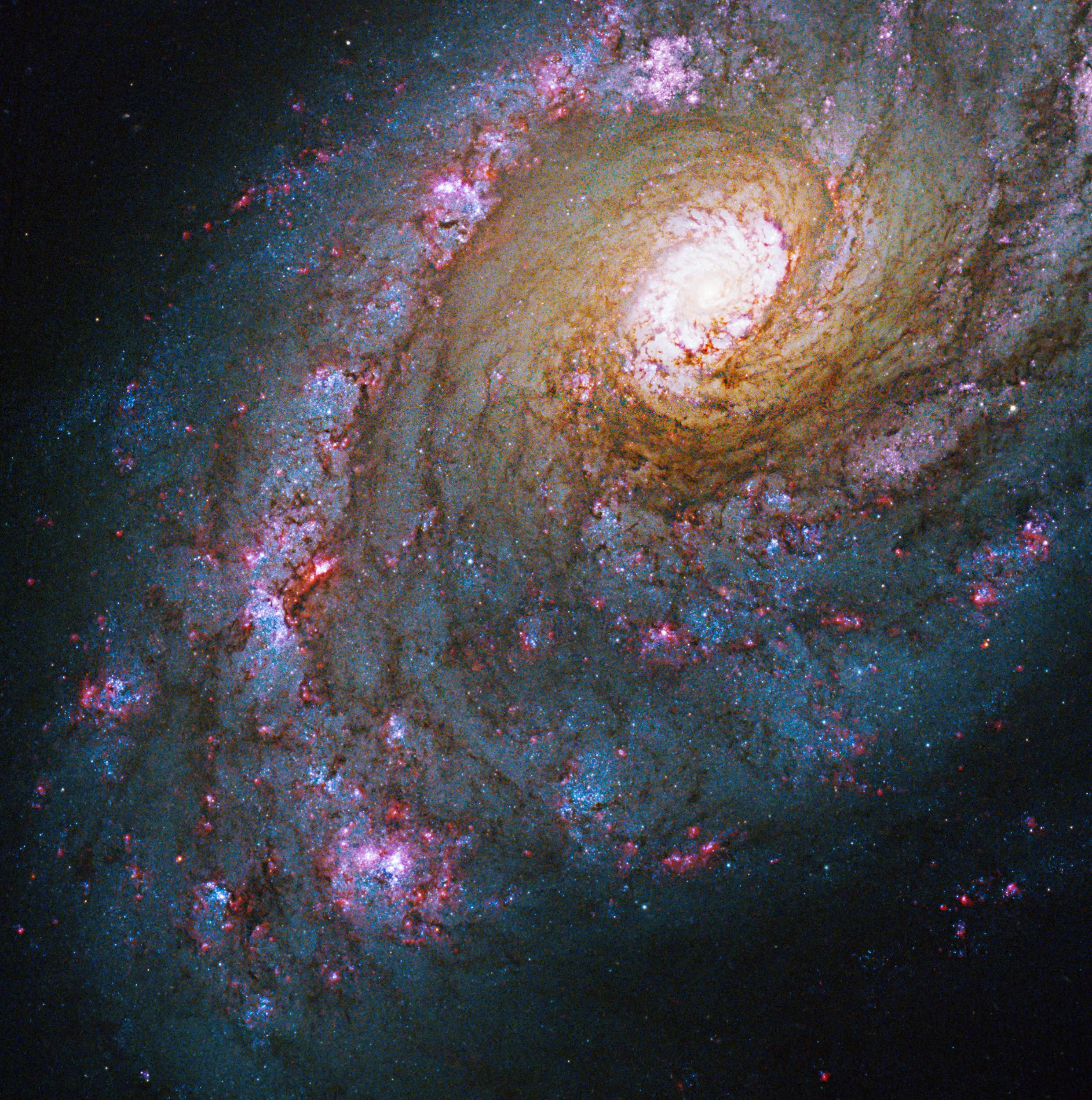 kỷ niệm 30 năm Hubble