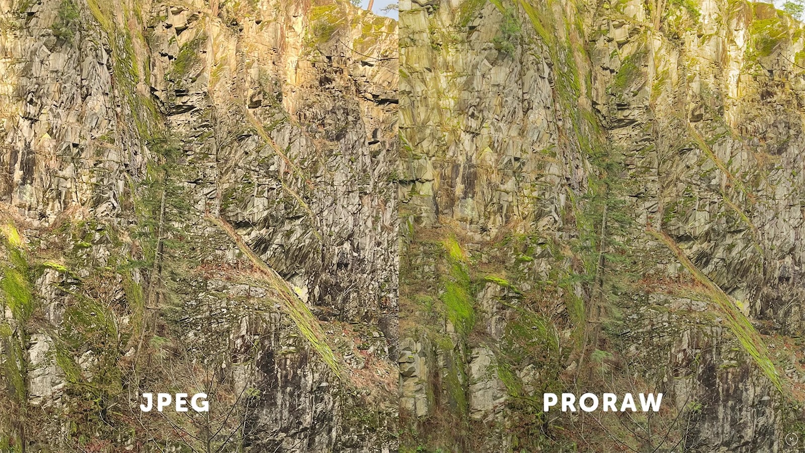 So sánh ProRAW với JPEG