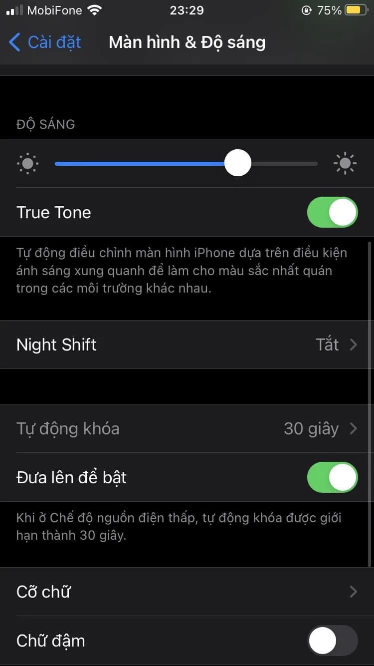 Hướng dẫn tắt tính năng tự động điều chỉnh độ sáng trên iPhone