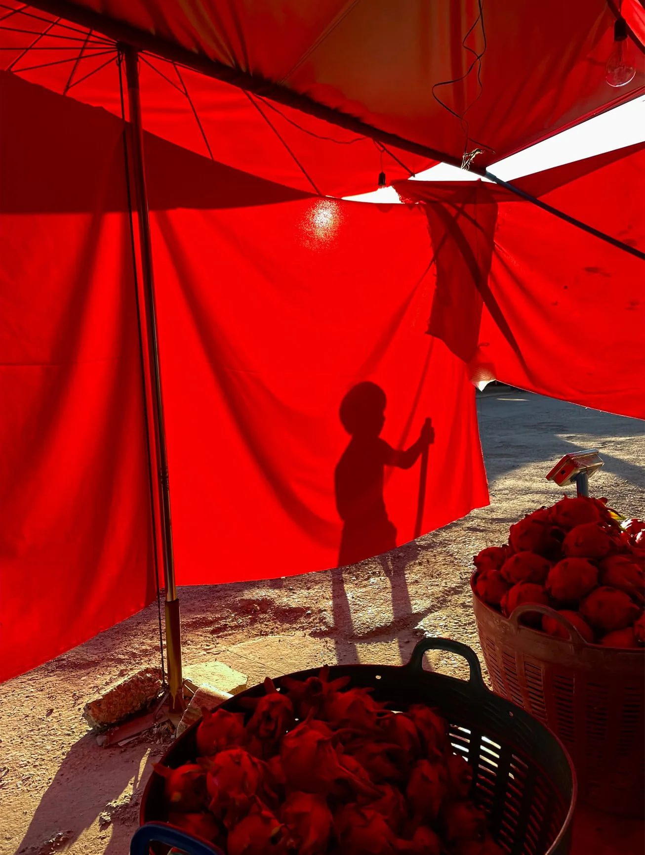 Apple chia sẻ loạt ảnh đẹp Shot on iPhone 12 từ những người dùng