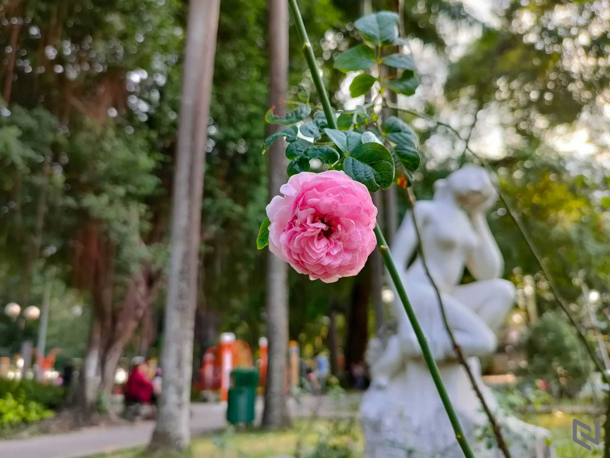Trải nghiệm kỹ hơn các tính năng camera của OPPO Reno5: Dẫn đầu xu hướng chụp ảnh trên smartphone