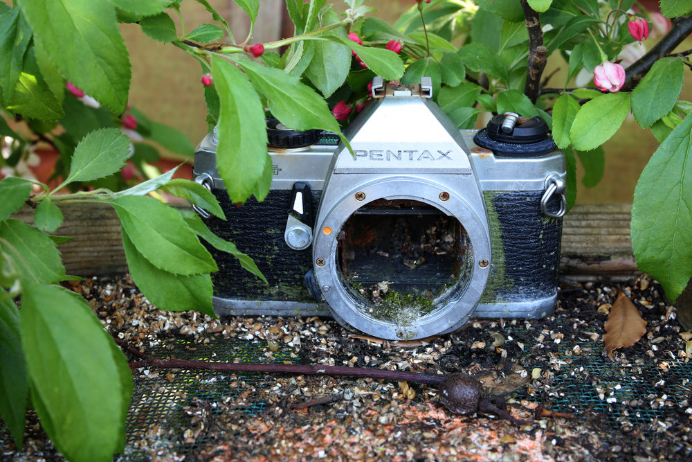Irix ra mắt ống kính 45mm F1.4 Dragonfly dành cho máy ảnh Fujifilm GFX