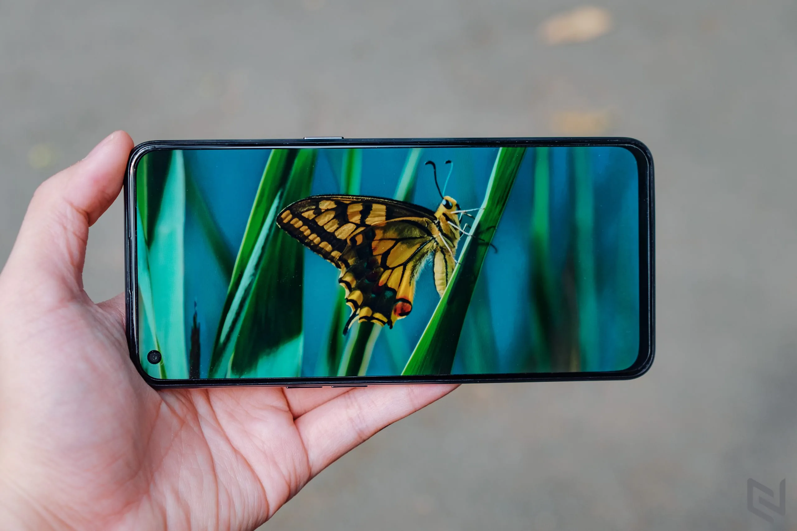 đánh giá OPPO Reno5