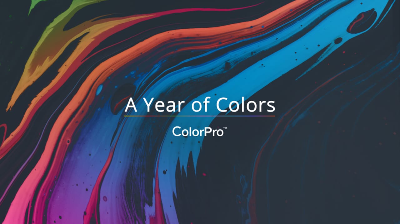 ViewSonic công bố cuộc thi ảnh toàn cầu với chủ đề “A Year of Colors”