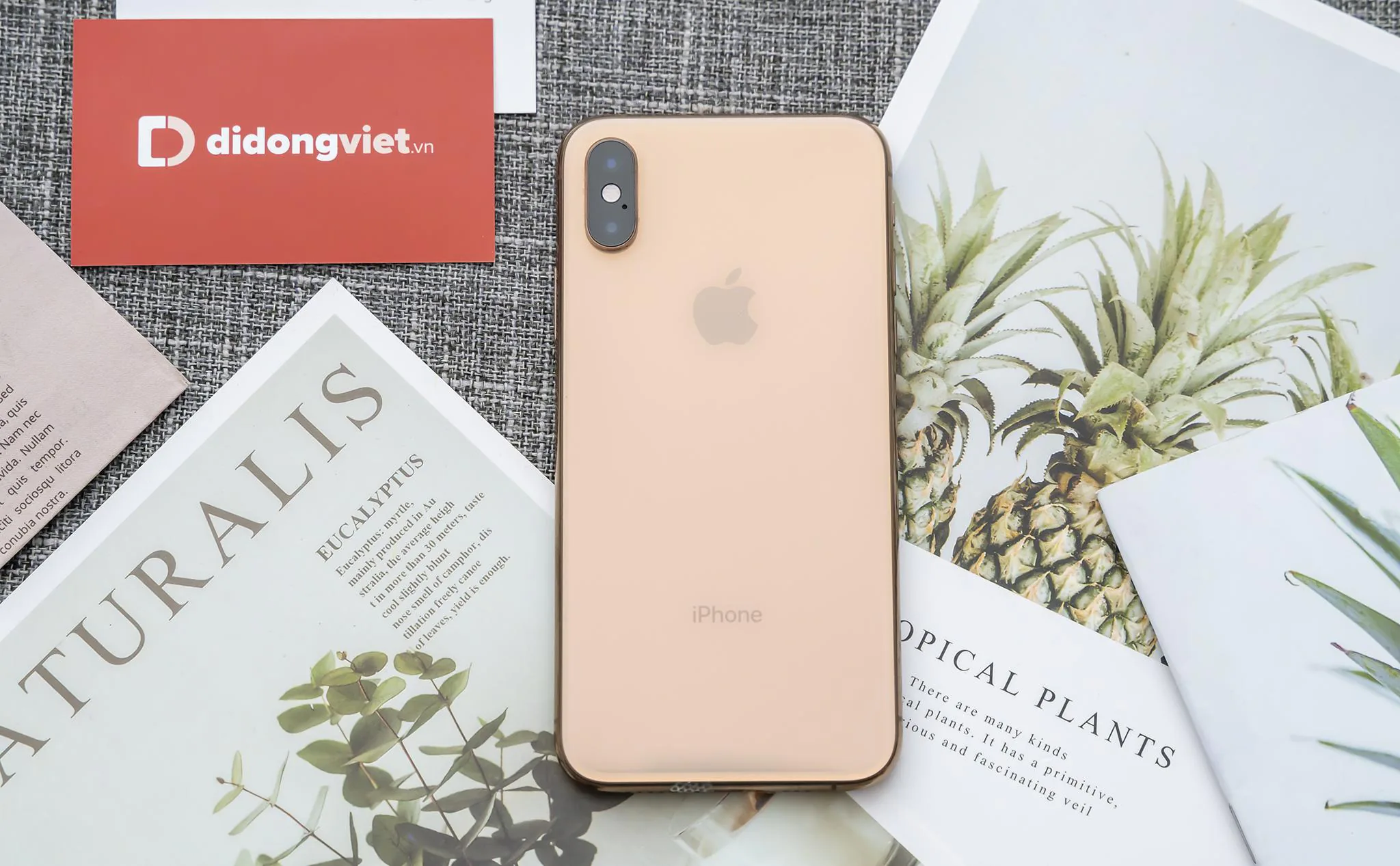 iPhone Xs, Xs Max giá chỉ còn từ 9.5 triệu. Trade-in tiết kiệm đến 7.8 triệu