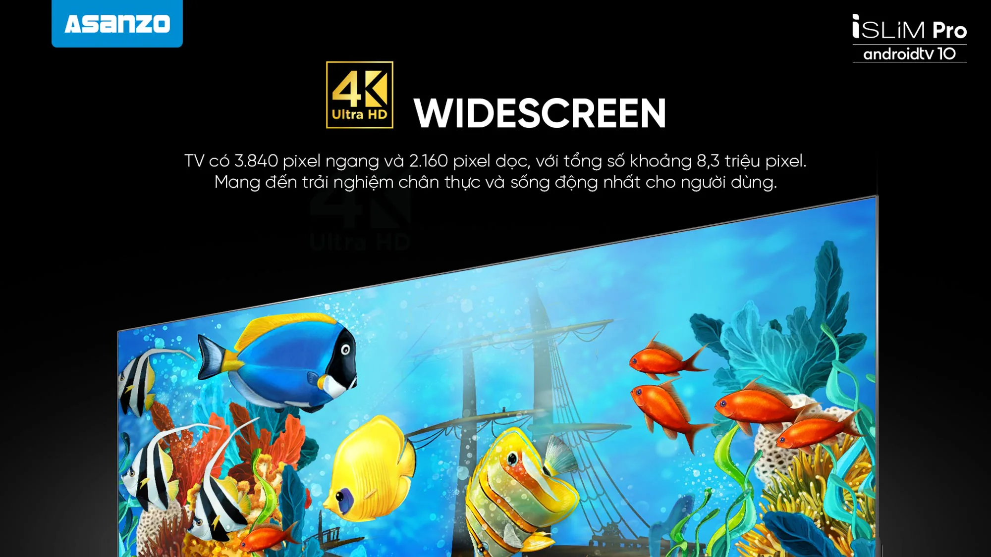 Asanzo bắt tay với Google ra mắt Smart TV thương hiệu Việt đầu tiên thị trường chạy Android TV 10