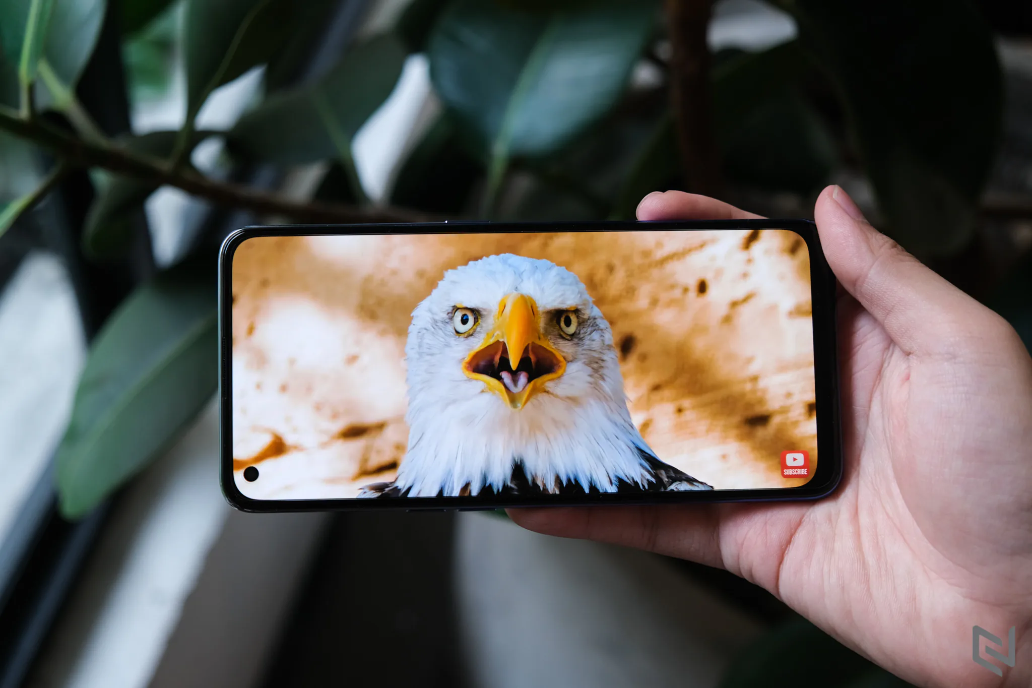 Đánh giá hiệu năng OPPO A74: Mạnh mẽ, pin bền bỉ, cỗ máy giải trí giá hời