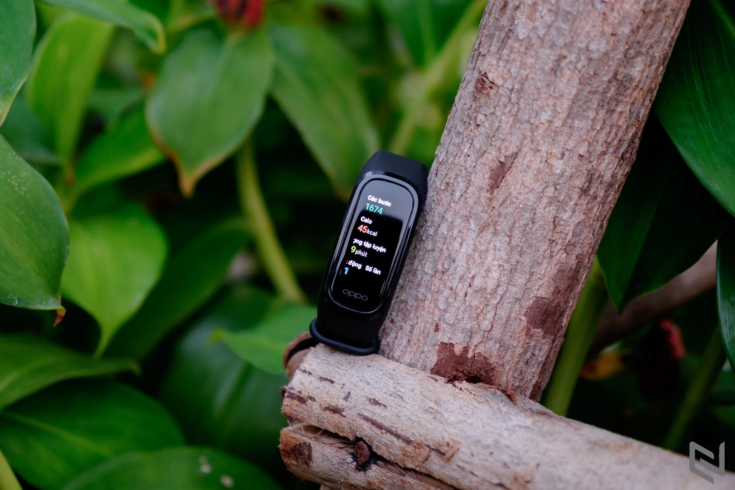 Mở hộp và trải nghiệm OPPO Band: Đồng hồ theo dõi sức khỏe thông minh với cảm biến SpO2