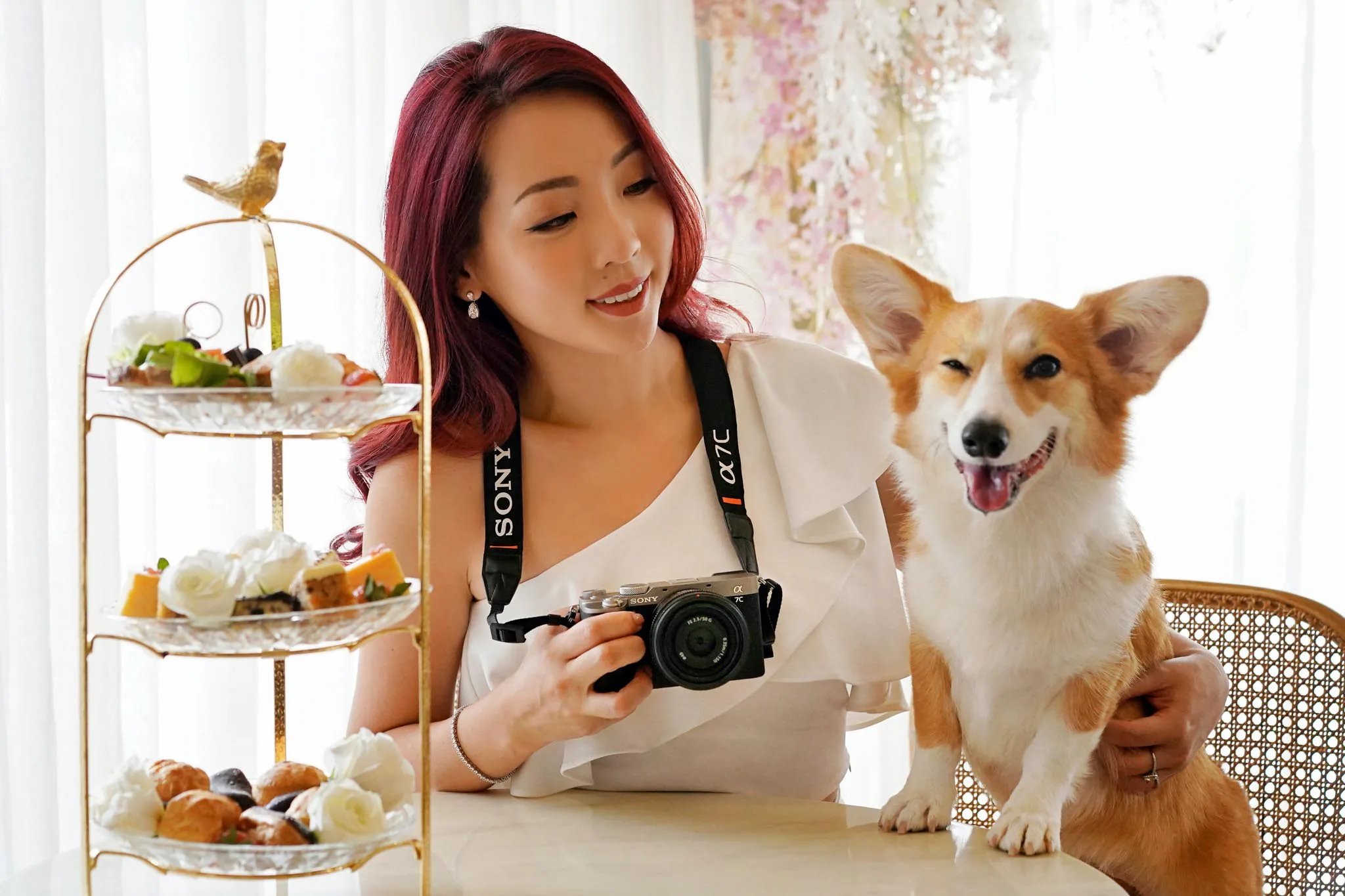 Tưng bừng Pawgraphy 5.5: Ngày hội nhiếp ảnh và quay phim thú cưng