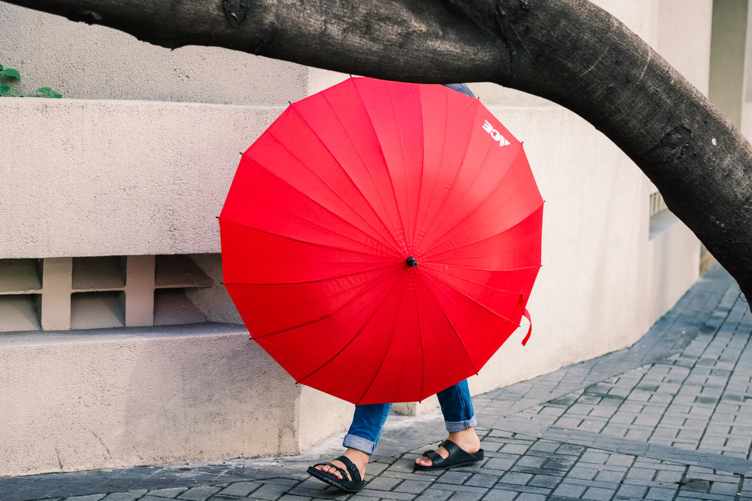 Hãy hạn chế mở khẩu ống kính và những cách để tách biệt chủ thể khỏi hậu cảnh
