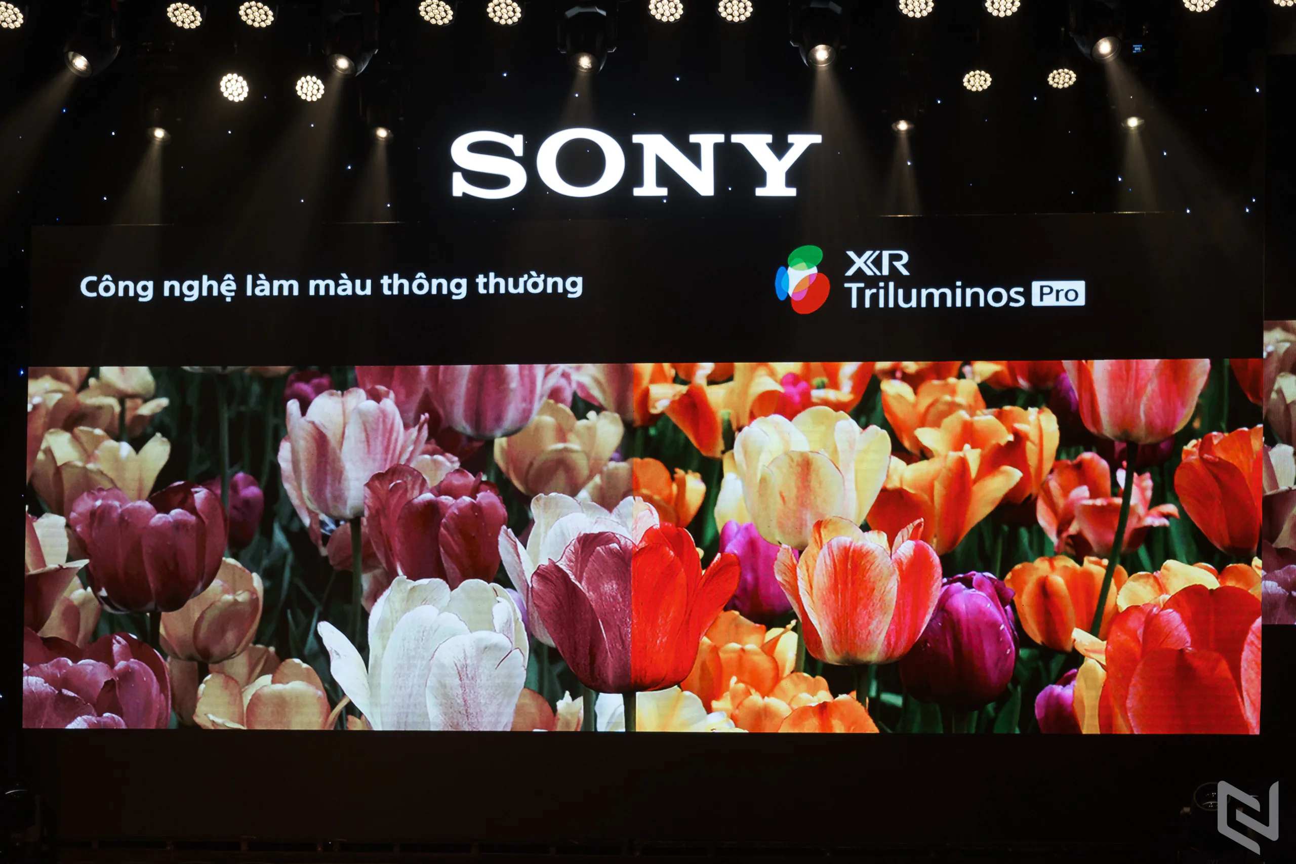 Sony Việt Nam ra mắt thế hệ TV BRAVIA XR 8K LED, 4K OLED và 4K LED tích hợp vi xử lý trí tuệ nhận thức "Cognitive Processor XR"
