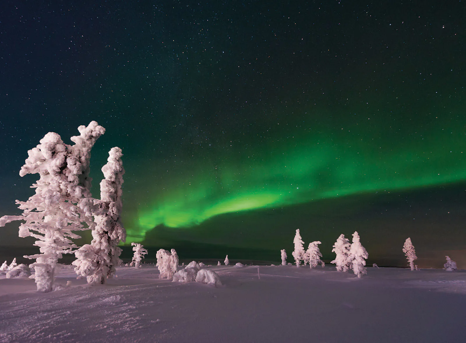 Khám phá các địa điểm chụp ảnh tuyệt vời và lý tưởng nhiếp ảnh mới trong “Amazing Photography”