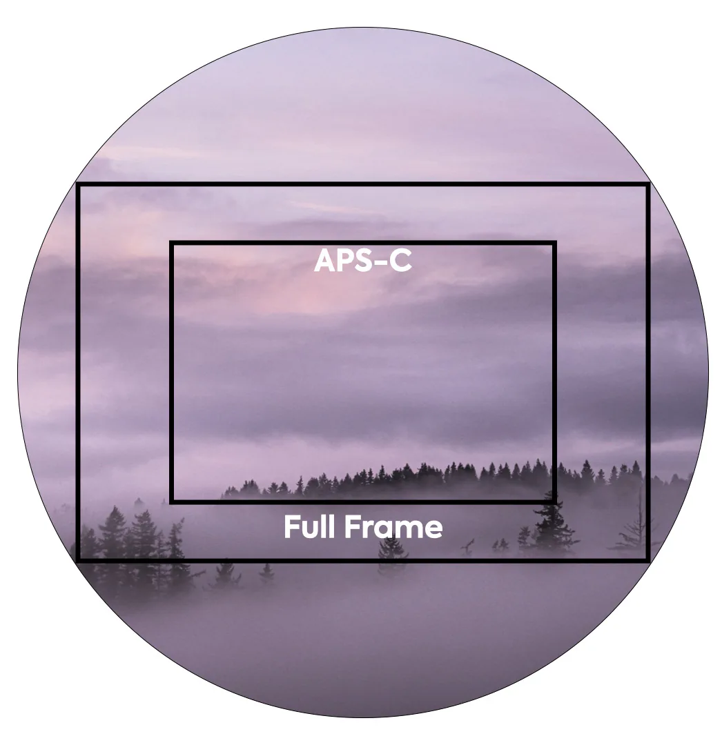 Full Frame, M43, APS-C hay Medium Format - Đâu sẽ là sự lựa chọn máy ảnh tốt nhất dành cho bạn?