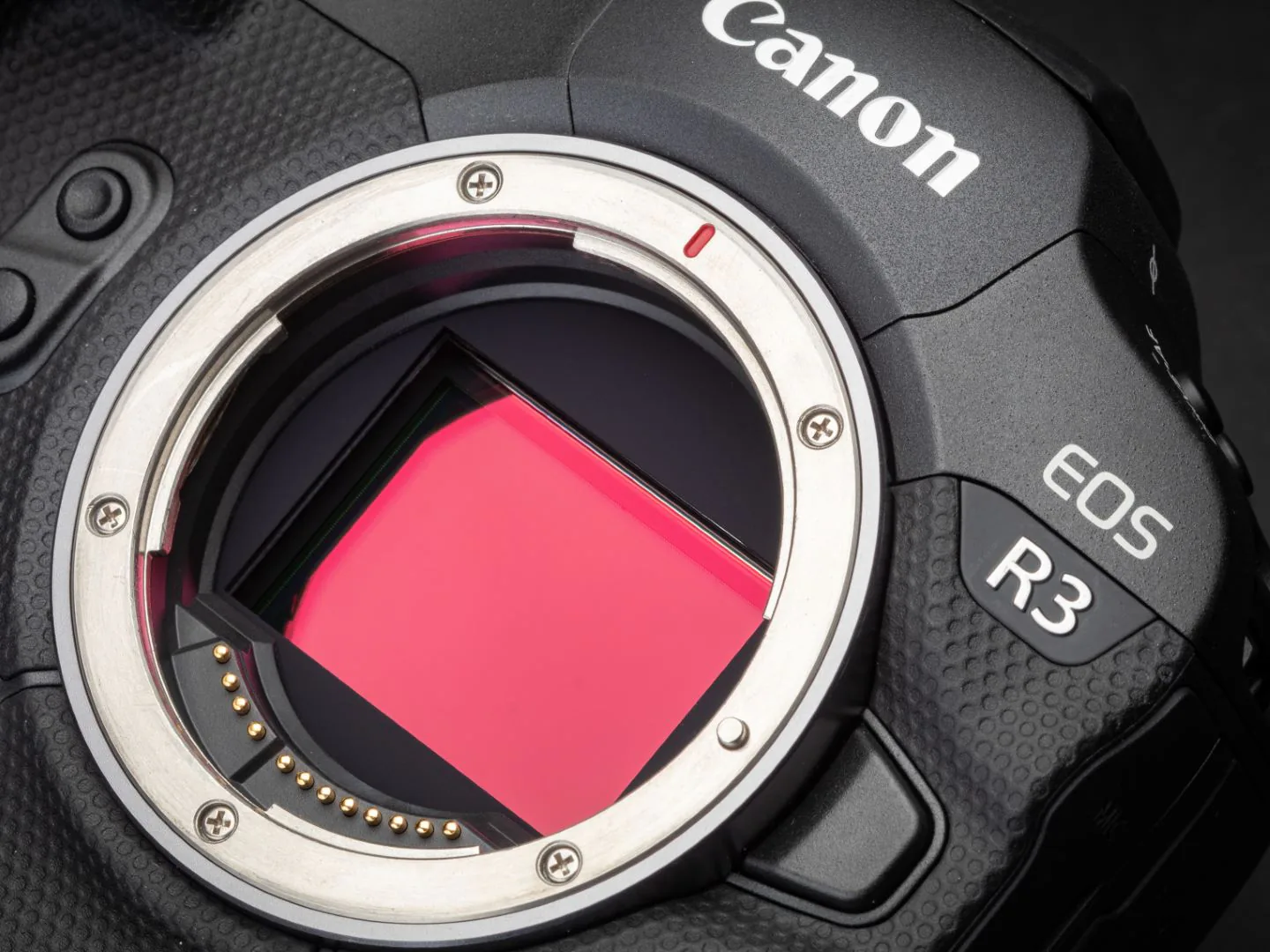 Canon EOS R3 chính thức ra mắt với thông số khủng, chụp nhanh 30fps cùng tính năng AF nâng cao