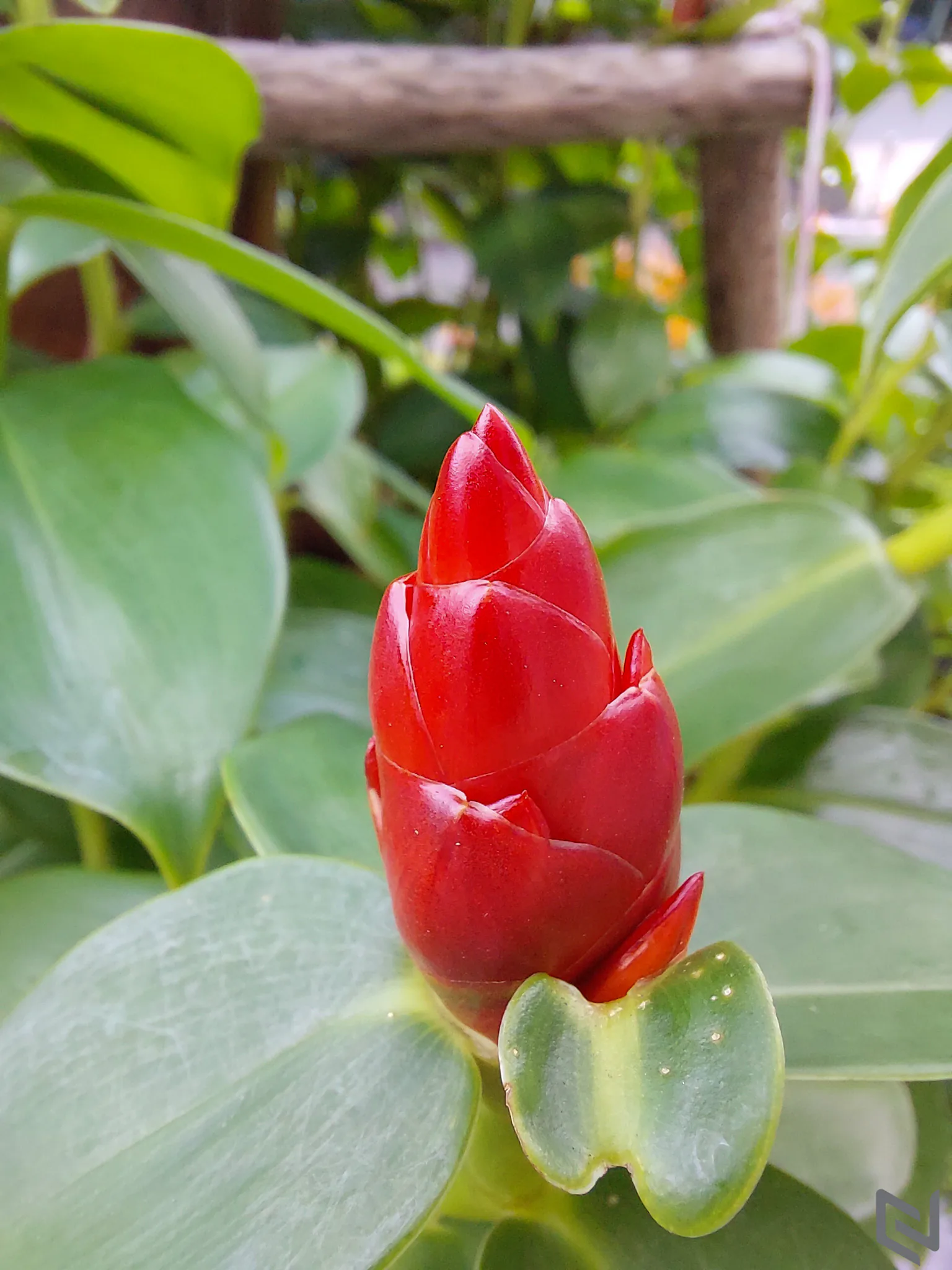 Trên tay Samsung Galaxy A52s 5G: Thiết kế cao cấp, cụm camera chuyên nghiệp cùng kết nối 5G