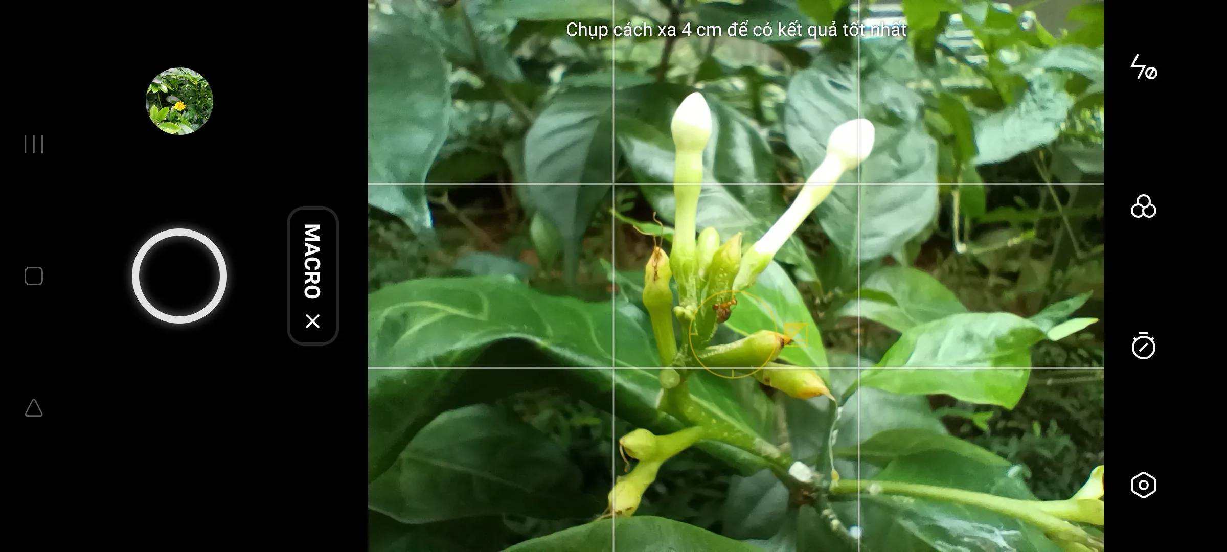 Mẹo chụp ảnh đẹp bằng OPPO Reno6 Z 5G: Chụp chân dung Bokeh Flare đầy nghệ thuật, chụp đêm cũng chuyên nghiệp không kém