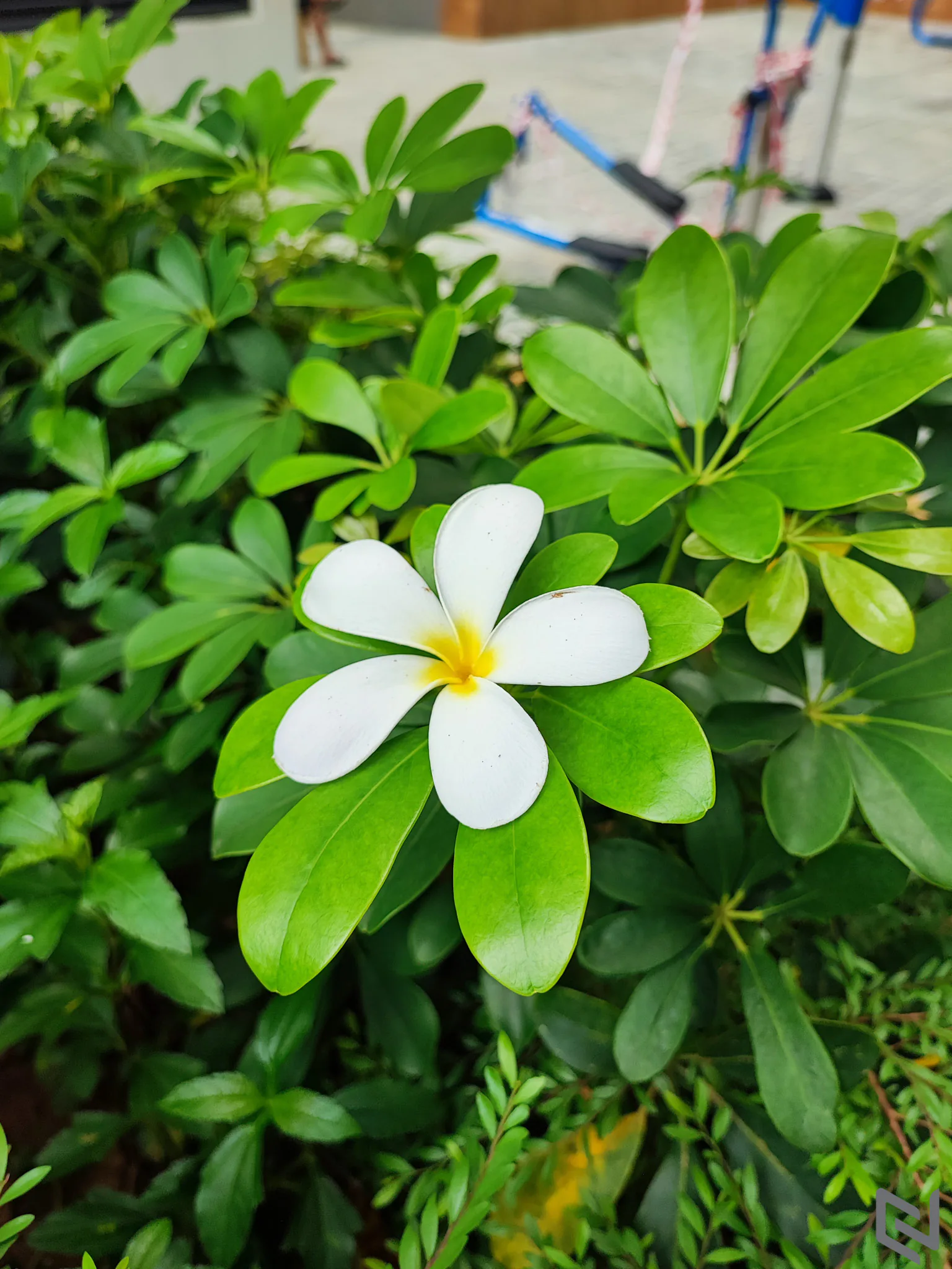 Trên tay Xiaomi 11T Pro: Đỉnh cao flagship với cấu hình khủng, camera xịn cùng thiết kế cao cấp