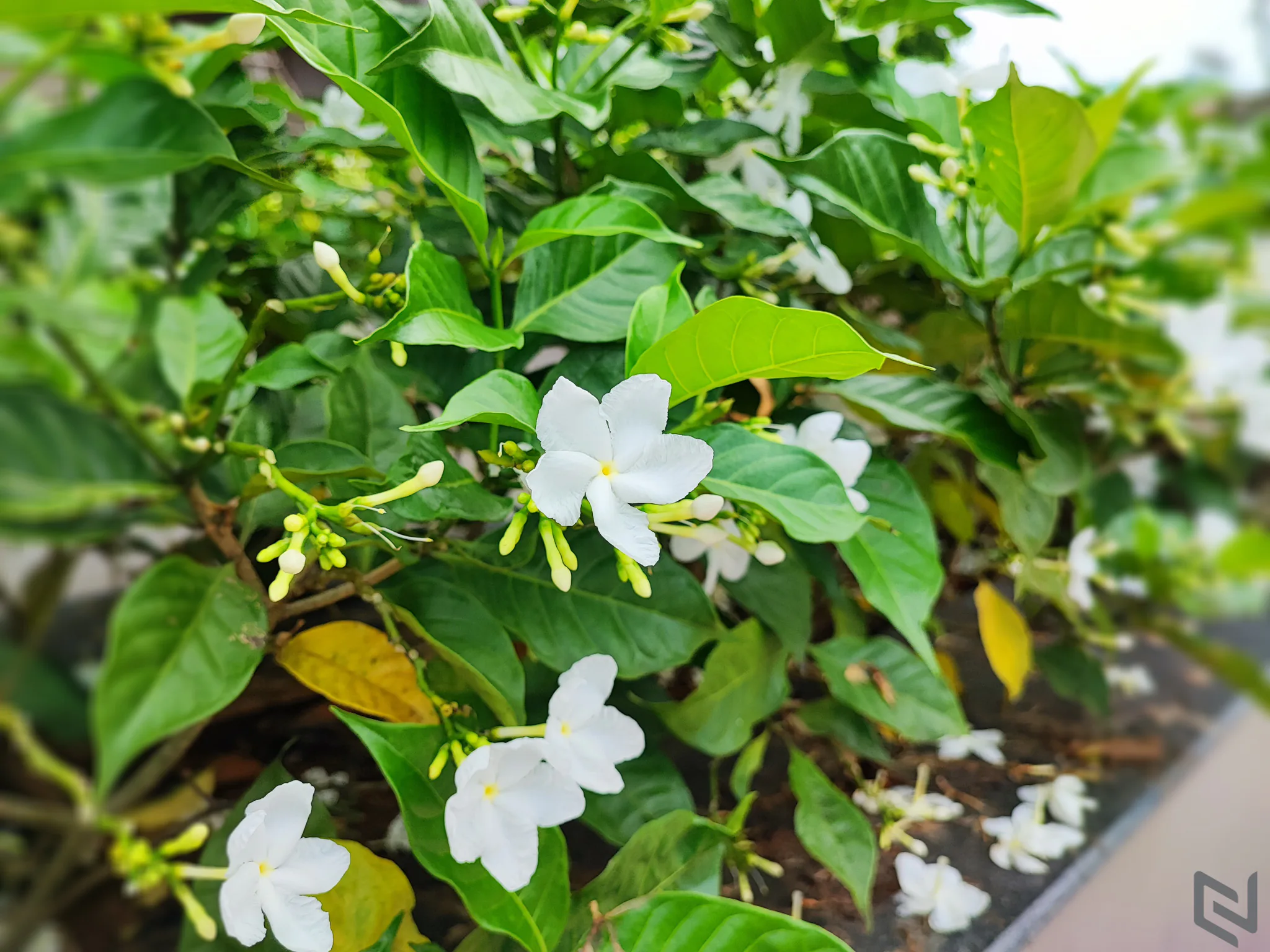 Trên tay Xiaomi 11T Pro: Đỉnh cao flagship với cấu hình khủng, camera xịn cùng thiết kế cao cấp