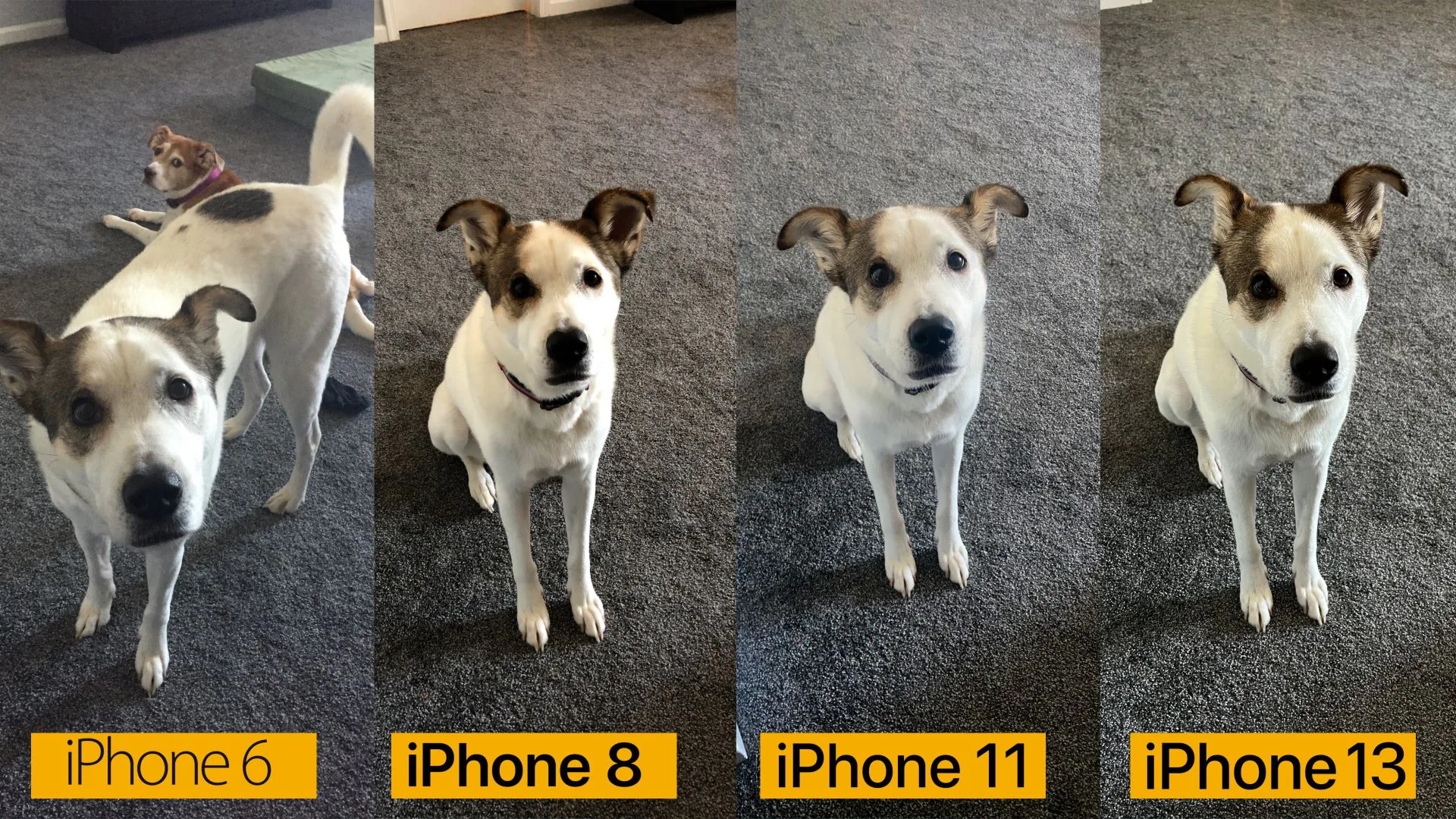 So sánh camera iPhone 13 với thế hệ trước, đã đến lúc bạn nên nâng cấp