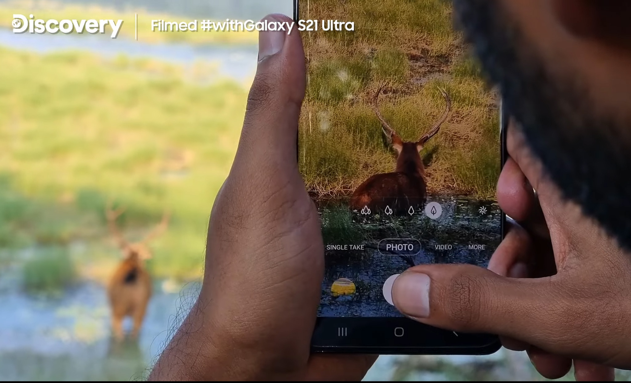 Samsung cùng Discovery ghi hình tài liệu những chú hổ bằng Galaxy S21 Ultra