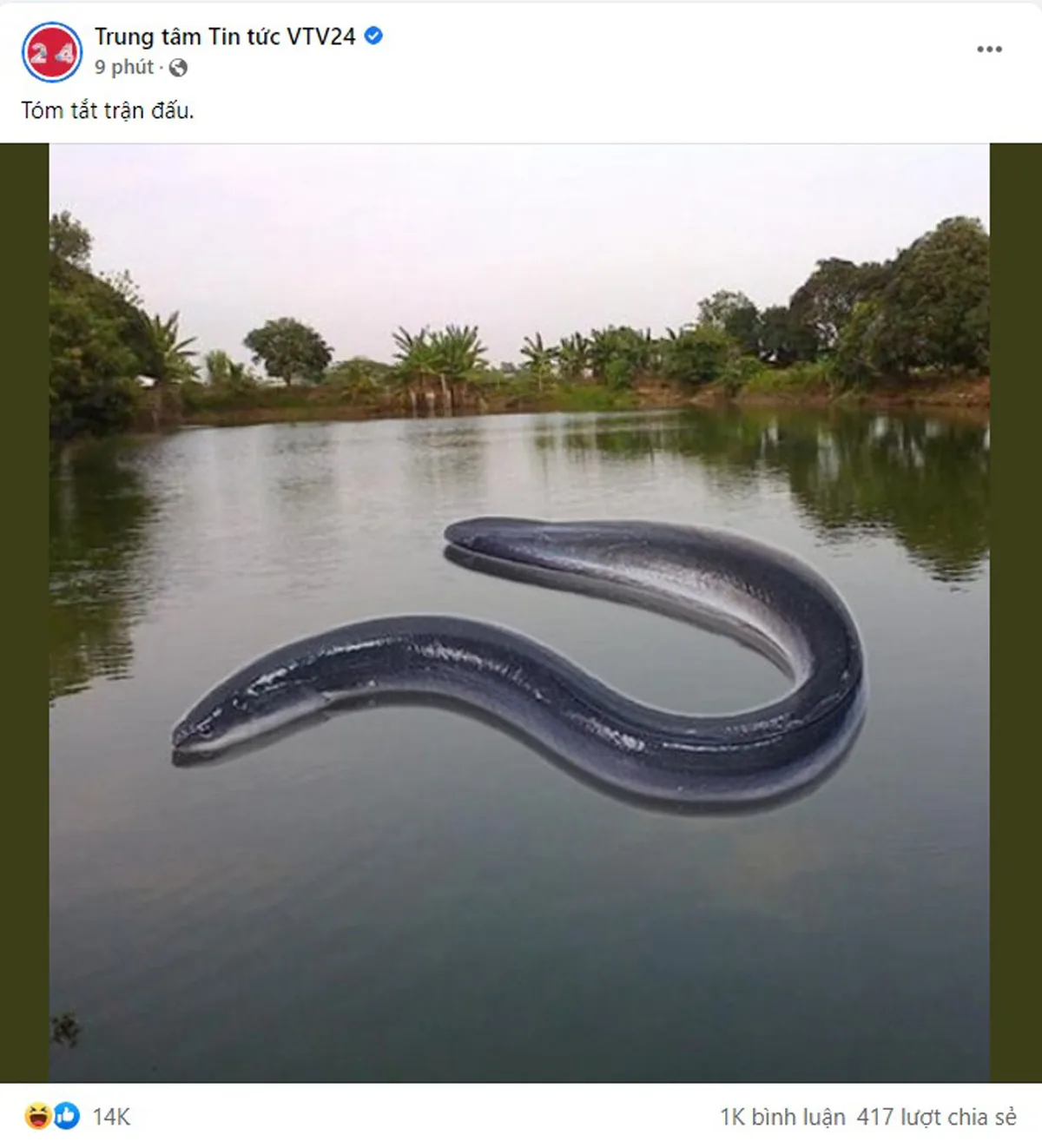 'Ao Chình' là gì? Meme này có ý nghĩa là gì?