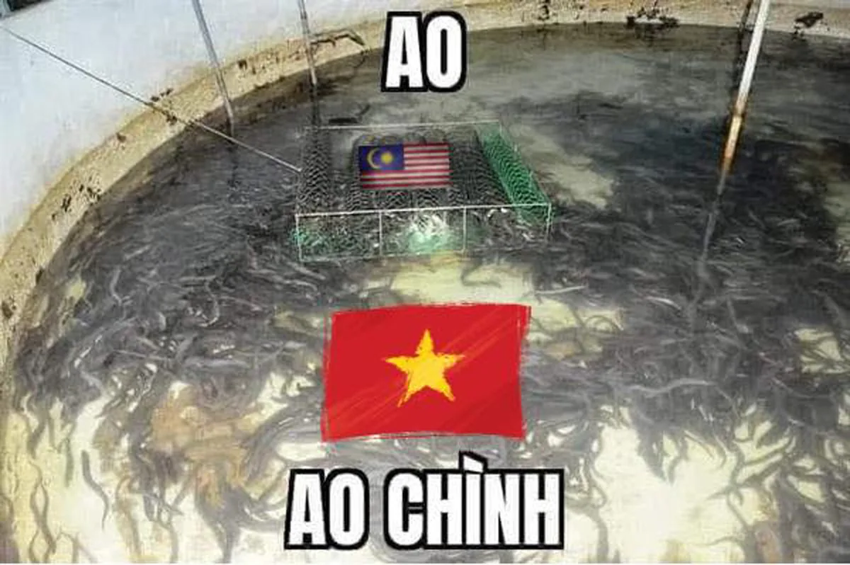 'Ao Chình' là gì? Meme này có ý nghĩa là gì?