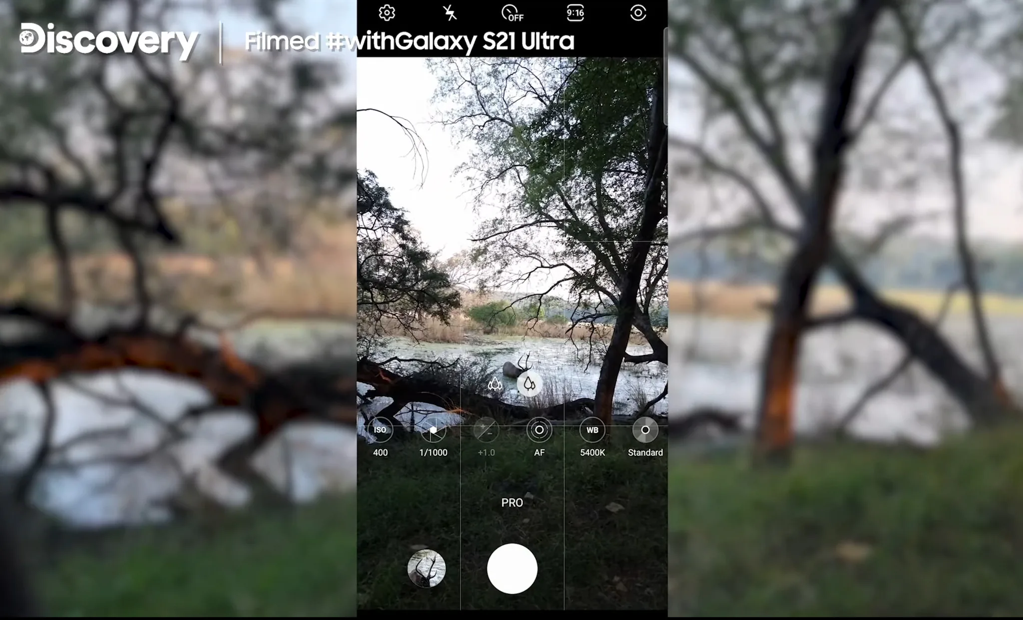 Samsung cùng Discovery ghi hình tài liệu những chú hổ bằng Galaxy S21 Ultra