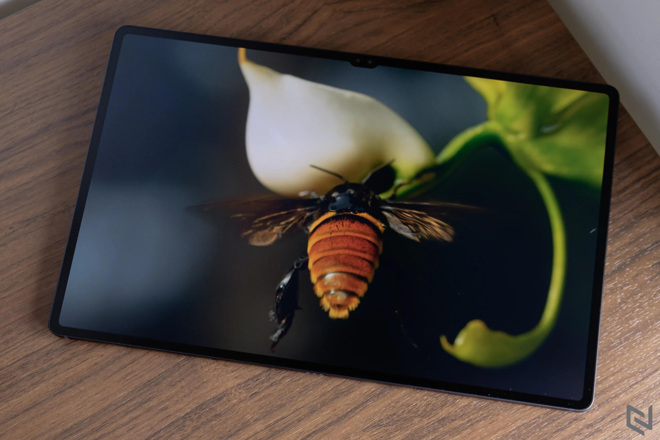 Khám phá máy tính bảng Galaxy Tab S8 Series mới nhất từ Samsung với loạt thông số và tính năng ấn tượng