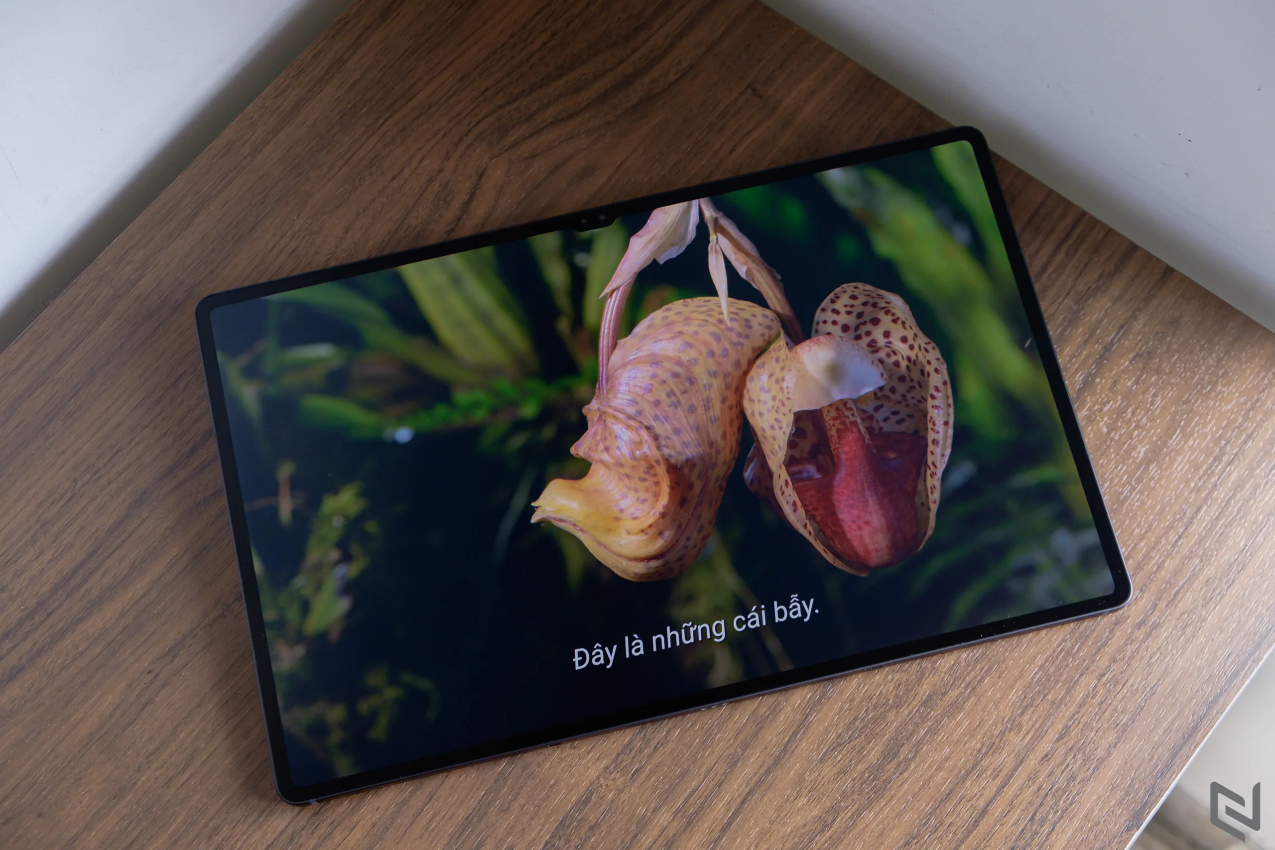 Khám phá máy tính bảng Galaxy Tab S8 Series mới nhất từ Samsung với loạt thông số và tính năng ấn tượng
