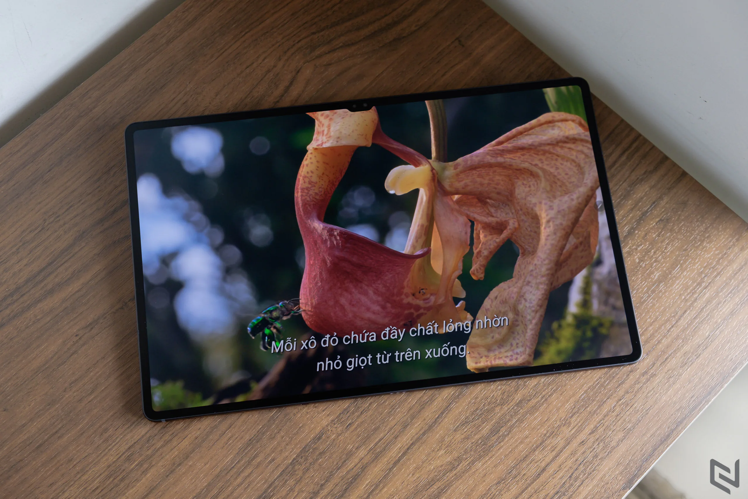 Khám phá máy tính bảng Galaxy Tab S8 Series mới nhất từ Samsung với loạt thông số và tính năng ấn tượng