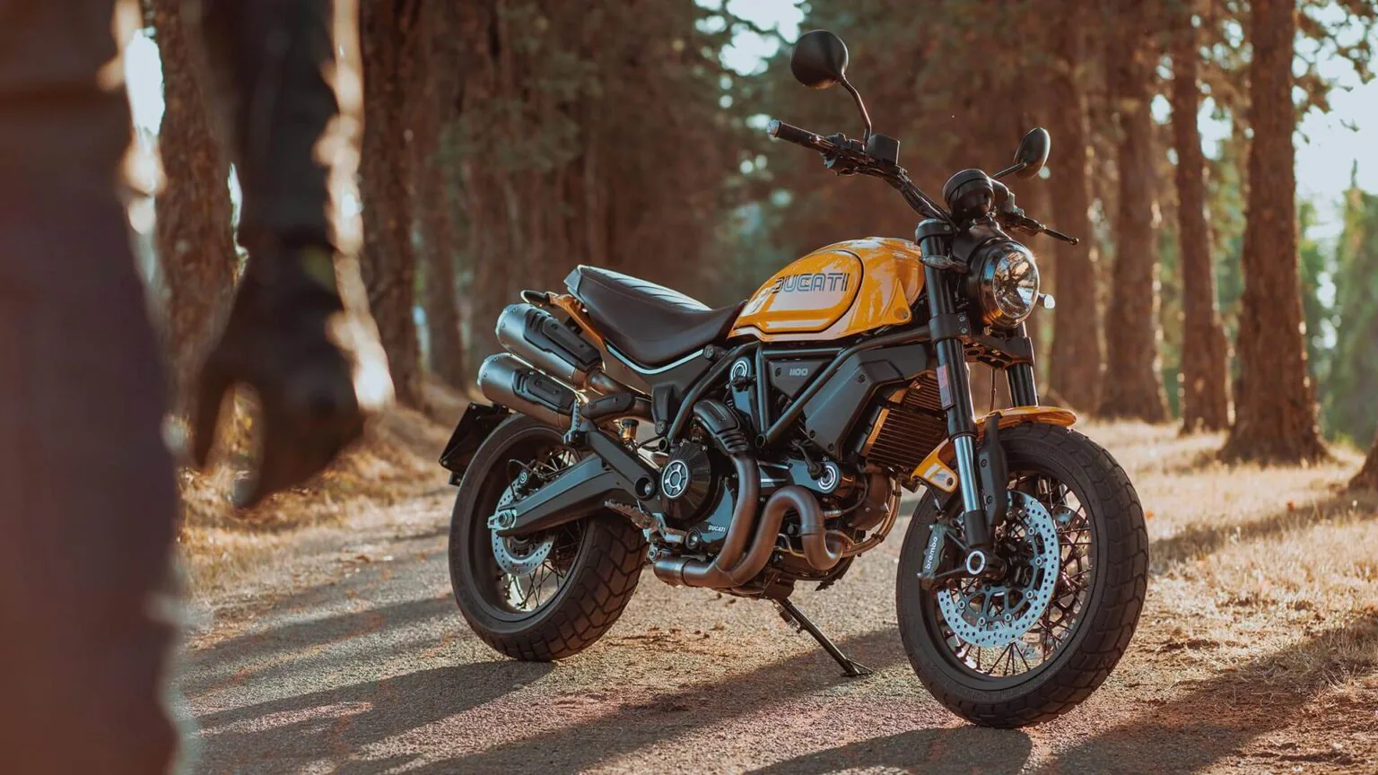 Ducati Scrambler 1100 Tribute Pro 2022 sắp được mang về Việt Nam vào tháng 6 sắp tới