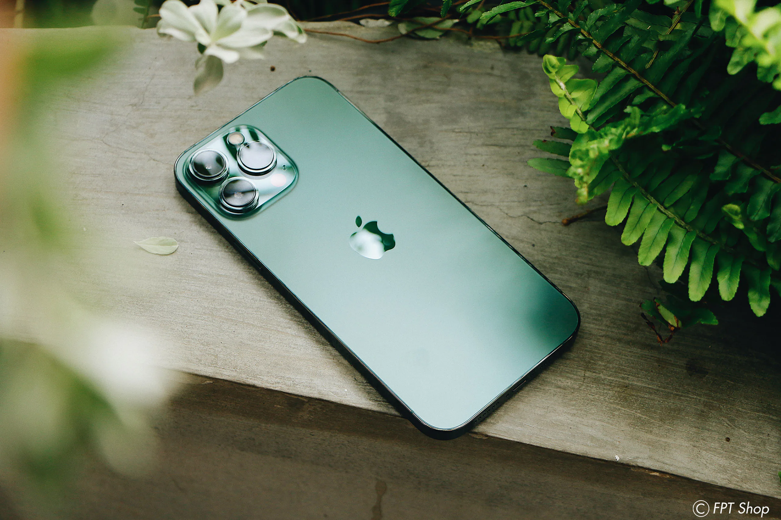 FPT Shop giảm đến 6 triệu, nhân đôi bảo hành khi đặt trước iPhone 13 Series Xanh lá mới