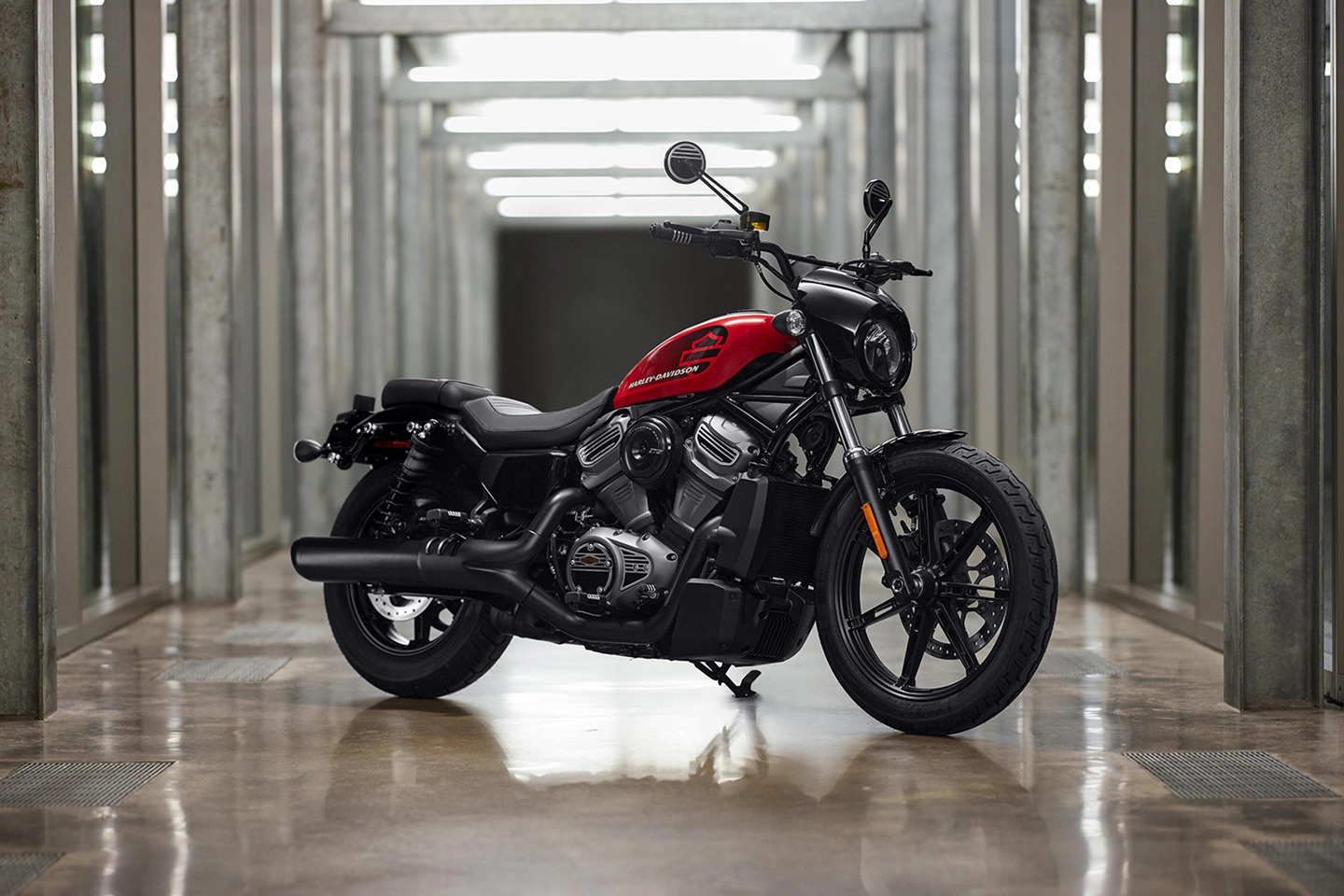 Harley-Davidson Nightster sắp ra mắt tại Việt Nam, giá quy đổi khoảng 600 triệu đồng