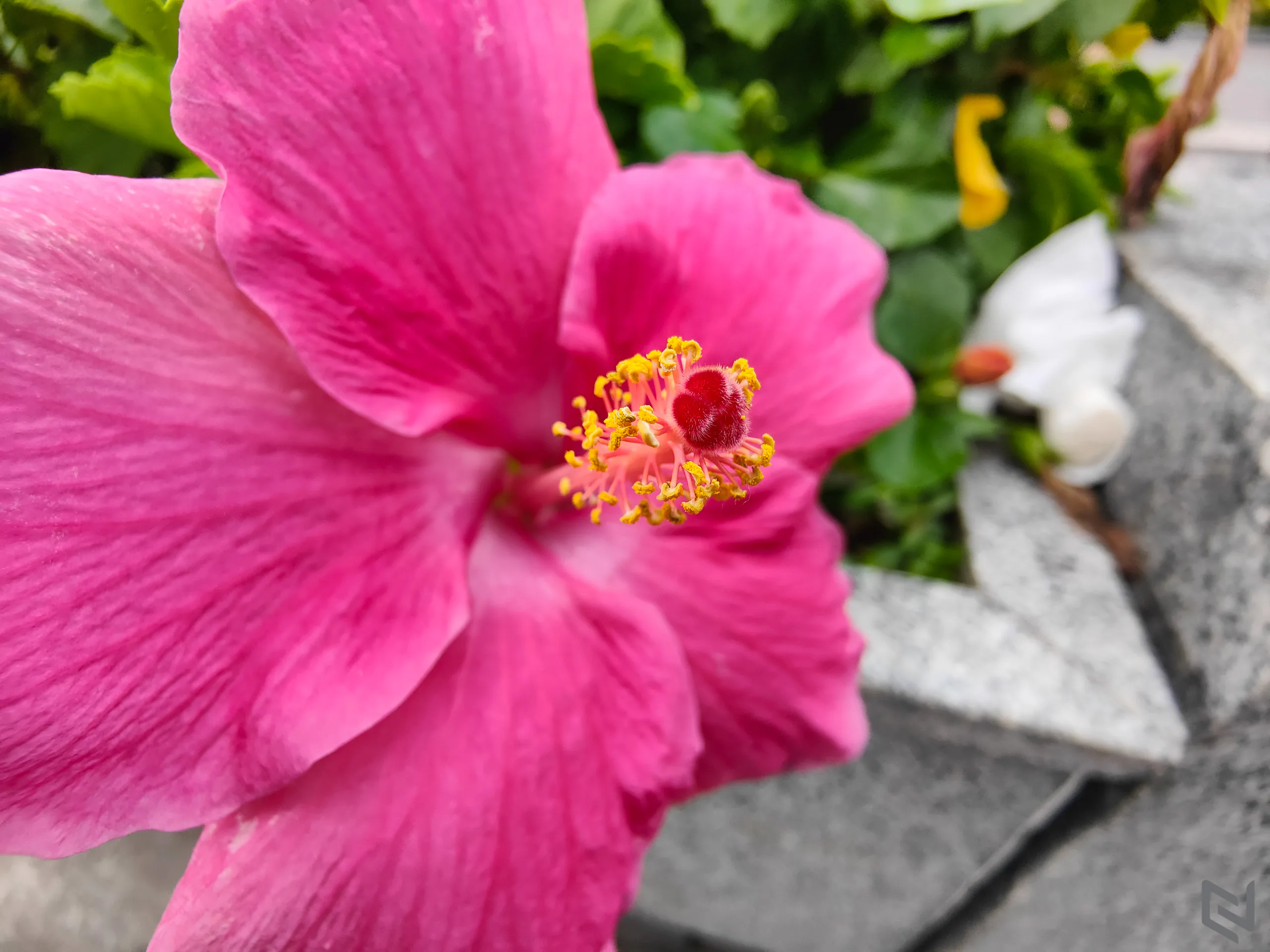 Trải nghiệm camera OPPO Find X5 Pro 5G - Khi chip xử lý hình ảnh MariSilicon X lên tiếng