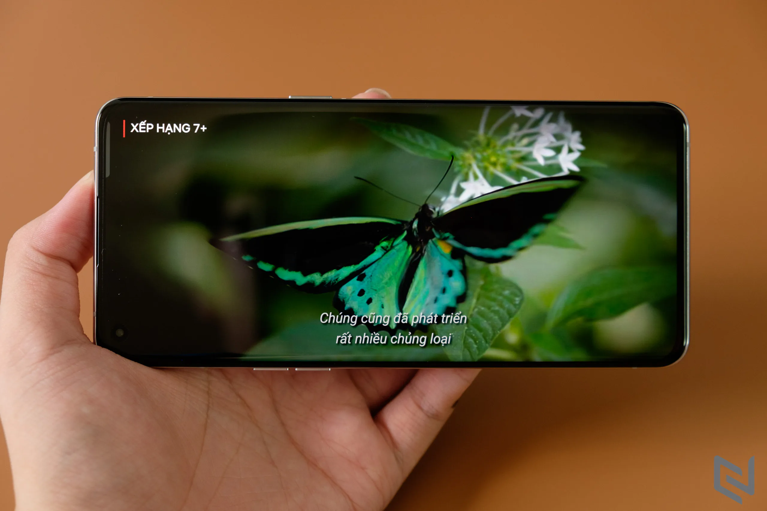 Đánh giá OPPO Find X5 Pro: Đẳng cấp flagship android số 1 trong năm 2022