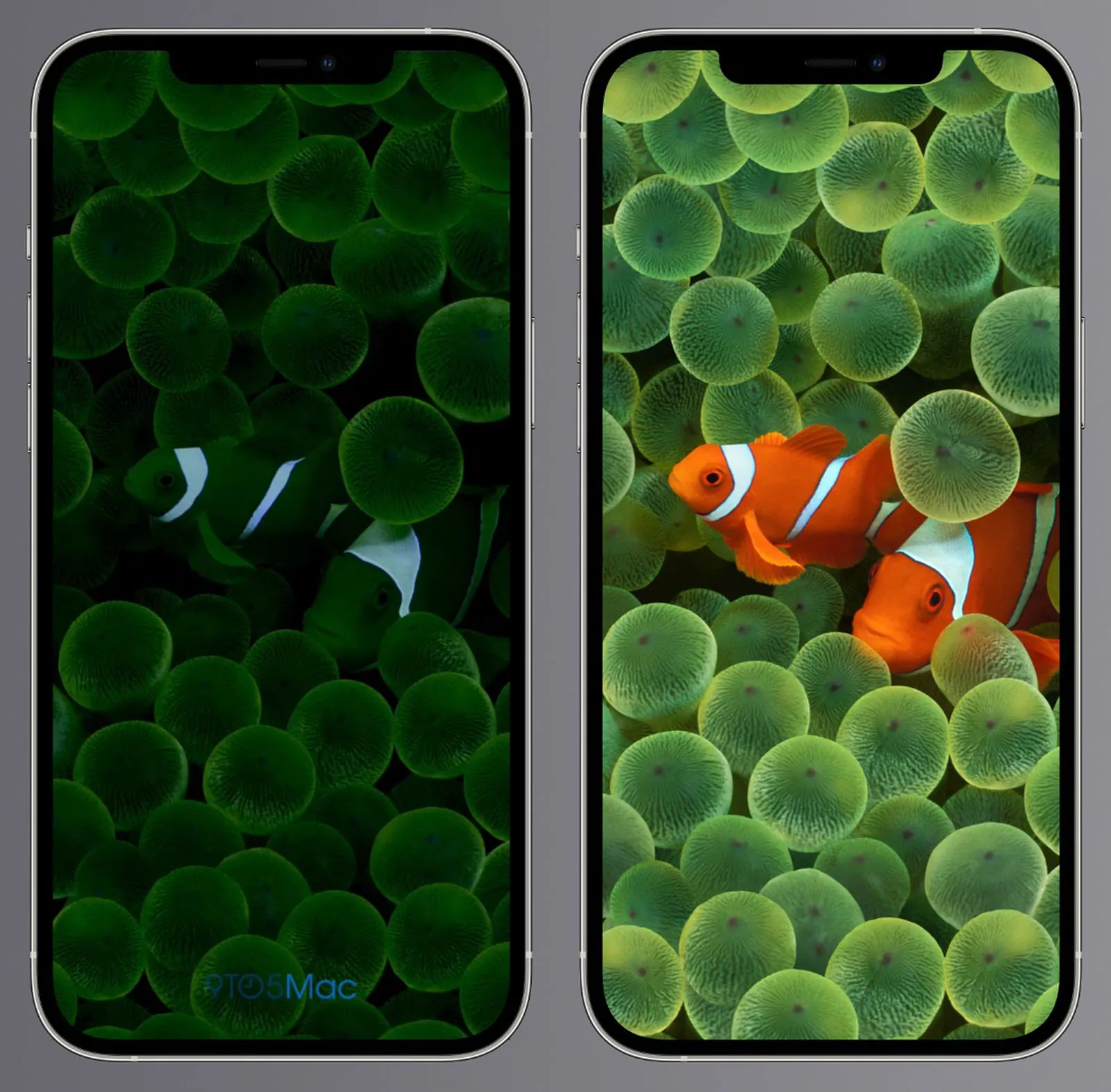 Tính năng Always-On Display chắc chắn sẽ có trên iPhone 14 Pro