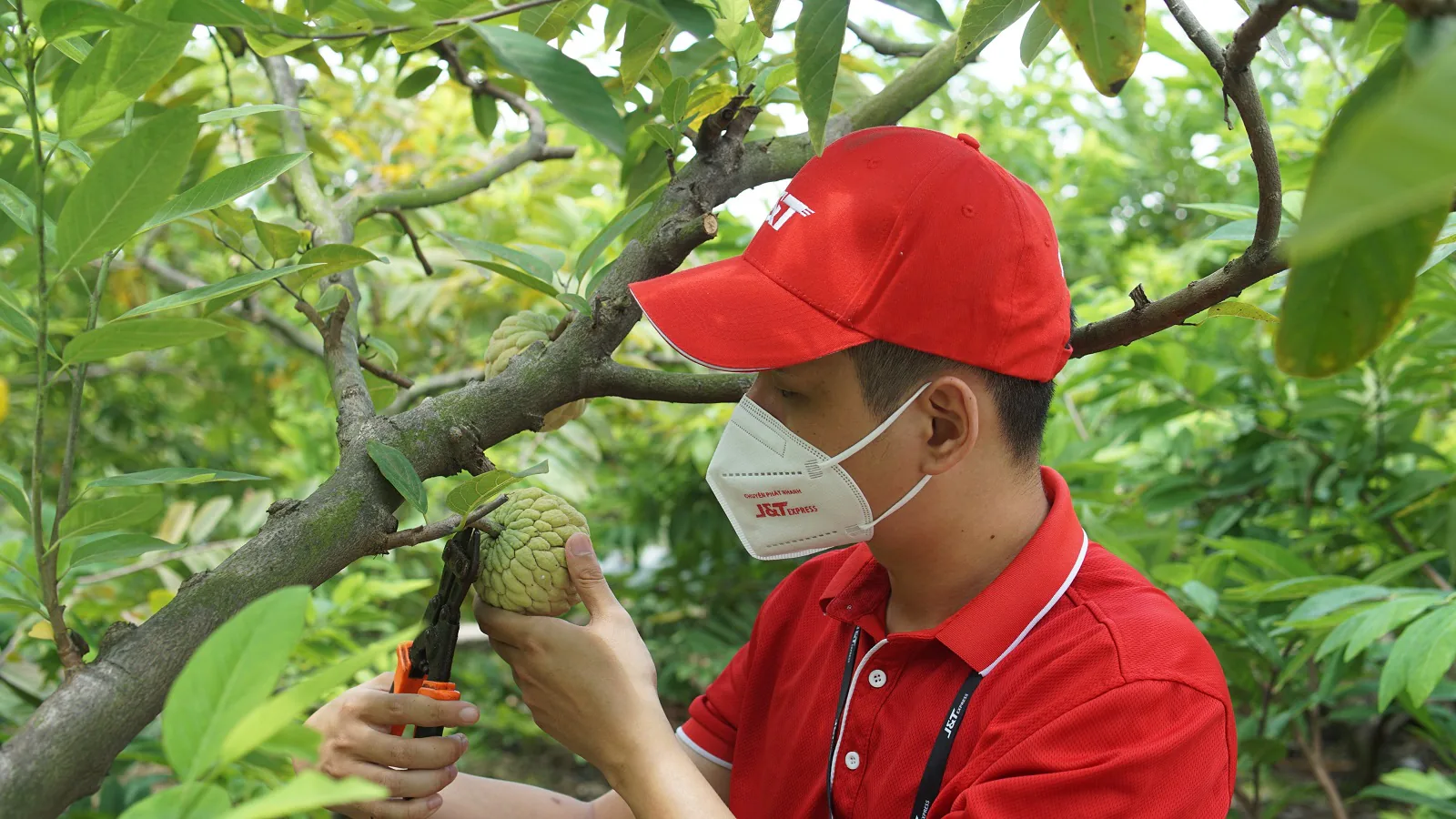 Chuyển phát nhanh đang dần nắm thế chủ động trong câu chuyện kinh doanh
