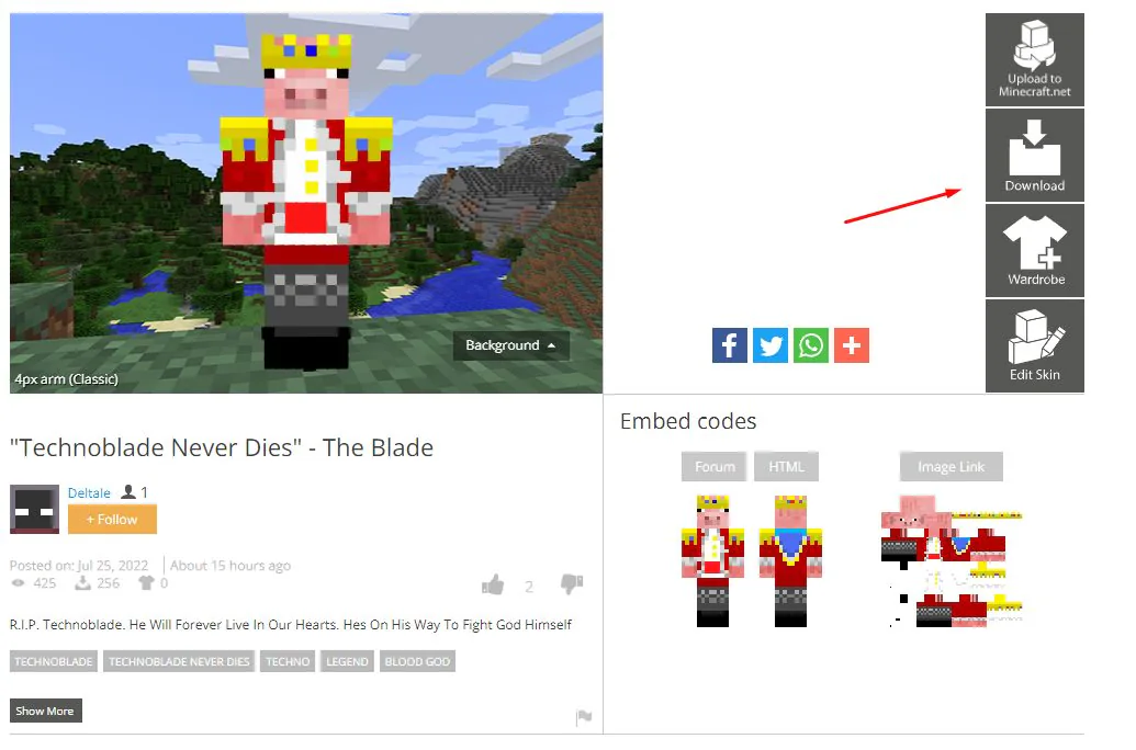 Hướng dẫn cách tải và sử dụng skin Technoblade trong Minecraft