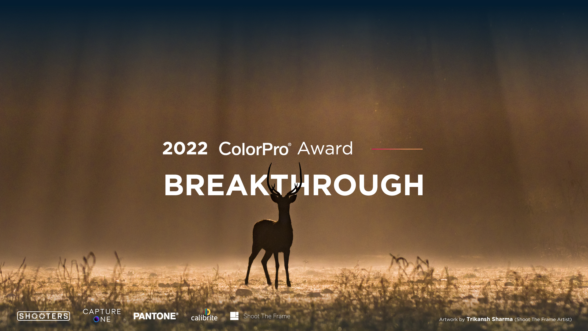 ViewSonic tổ chức cuộc thi ảnh toàn cầu ColorPro Award 2022 với chủ đề “Đột Phá”