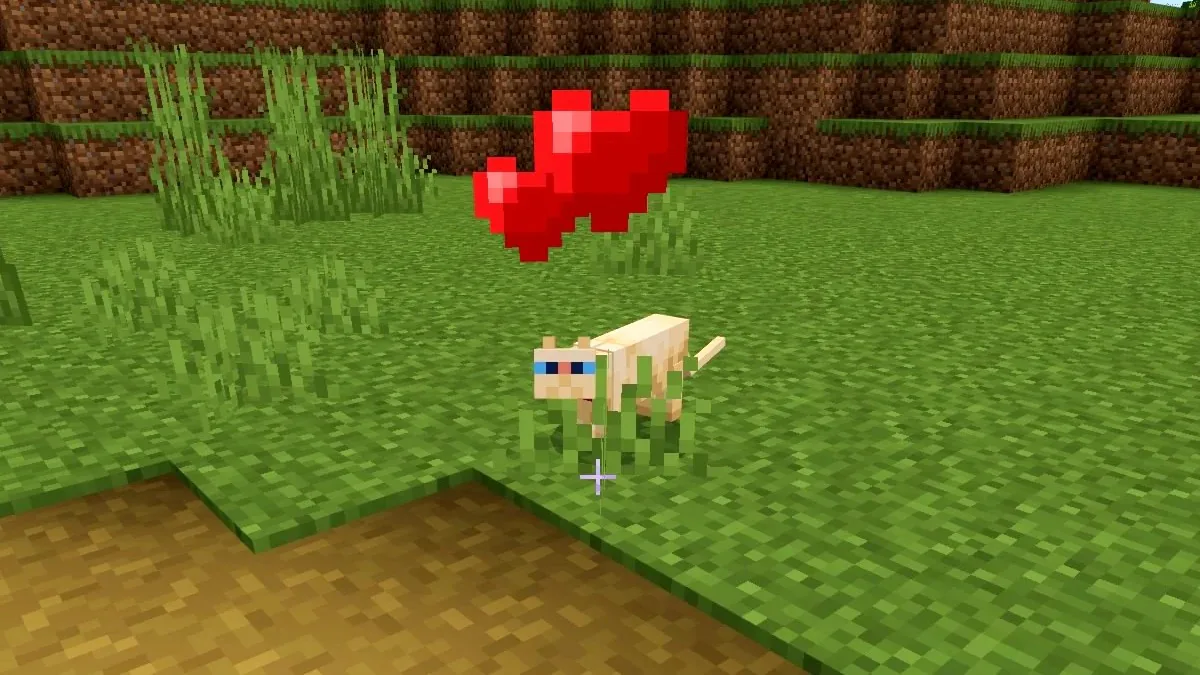 Làm sao để thuần phục mèo? Hướng dẫn cách bắt mèo trong Minecraft