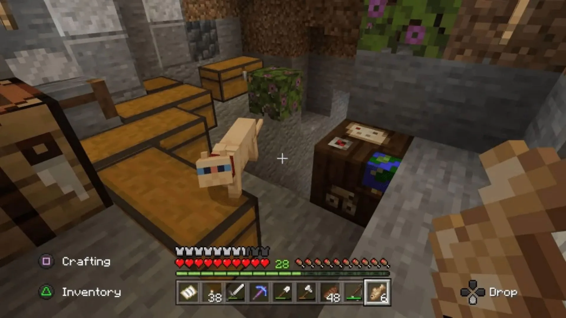 Làm sao để thuần phục mèo? Hướng dẫn cách bắt mèo trong Minecraft