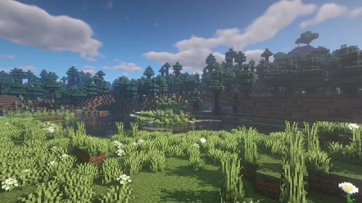 Tại sao nên sử dụng mod shader trong game Minecraft