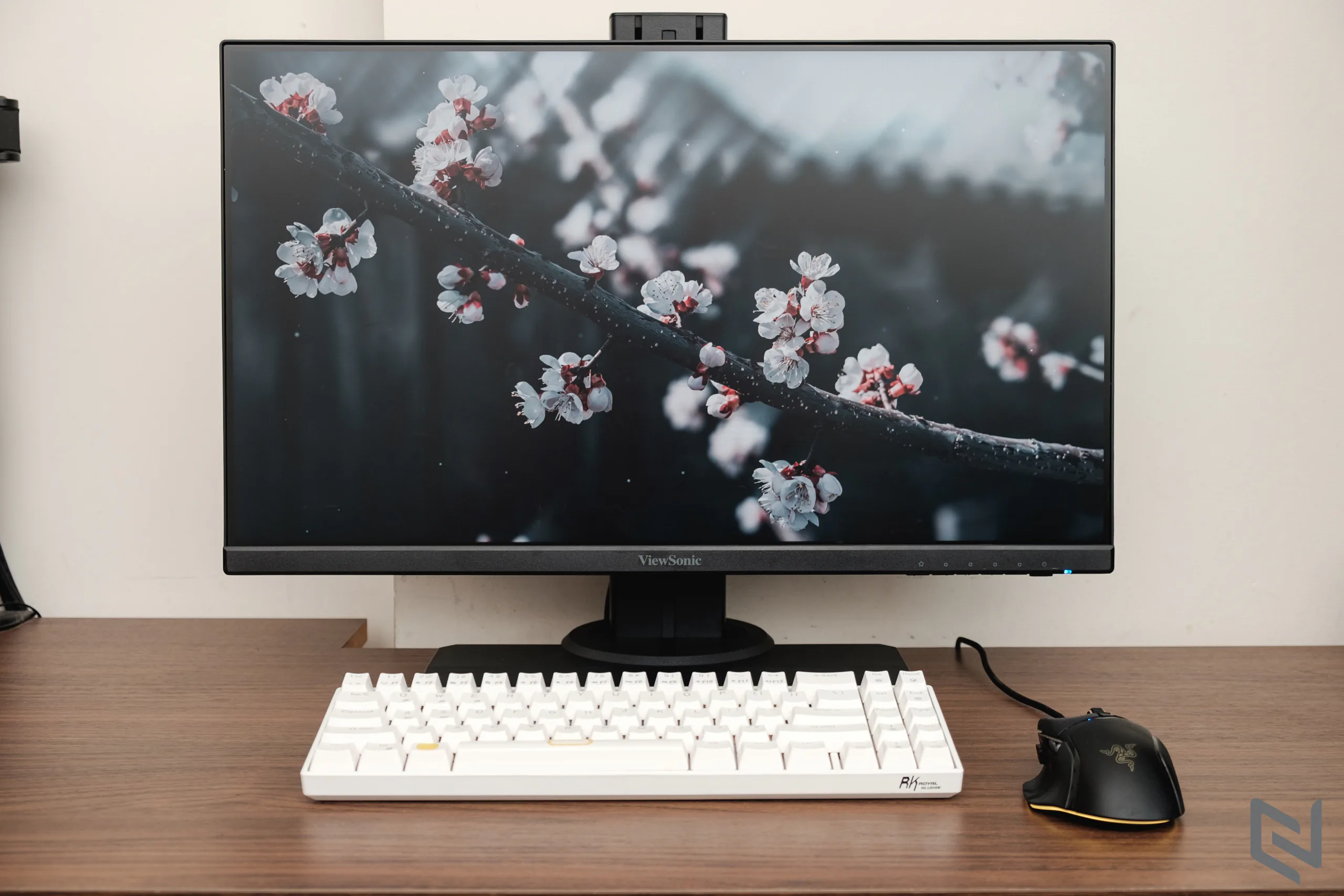 Đánh giá màn hình chơi game ViewSonic XG2431: Màn hình gaming 240Hz đầu tiên và duy nhất trên thế giới đạt chứng nhận Blur Buster 2.0