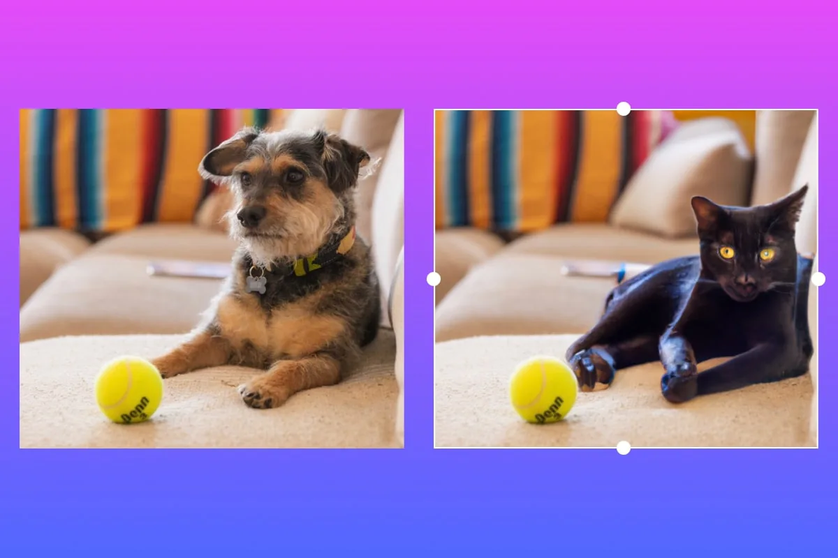 AI Image Generator của ứng dụng Picsart giờ đã có thể thay thế vật thể và tạo ra nền ảnh
