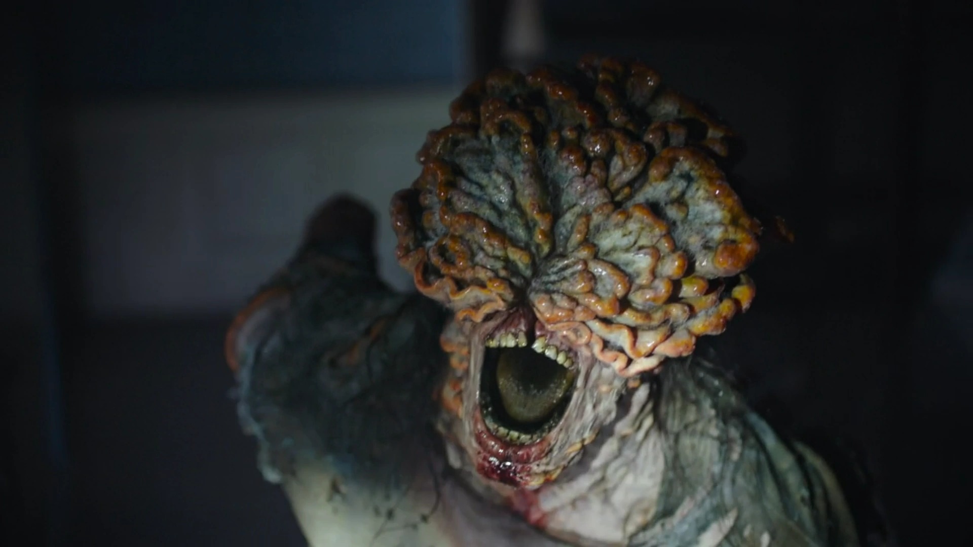 Tất tần tật về loài zombie mới trong bom tấn truyền hình The Last Of Us