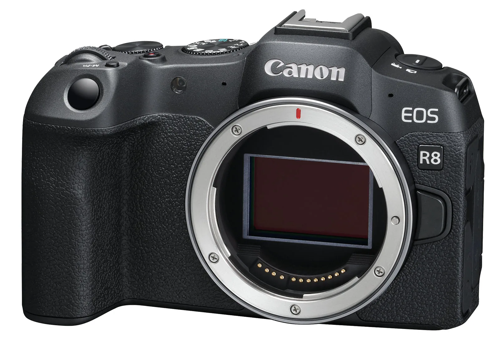 Canon ra mắt máy ảnh EOS R8 mạnh mẽ như R6 II nhưng kích thước gọn hơn